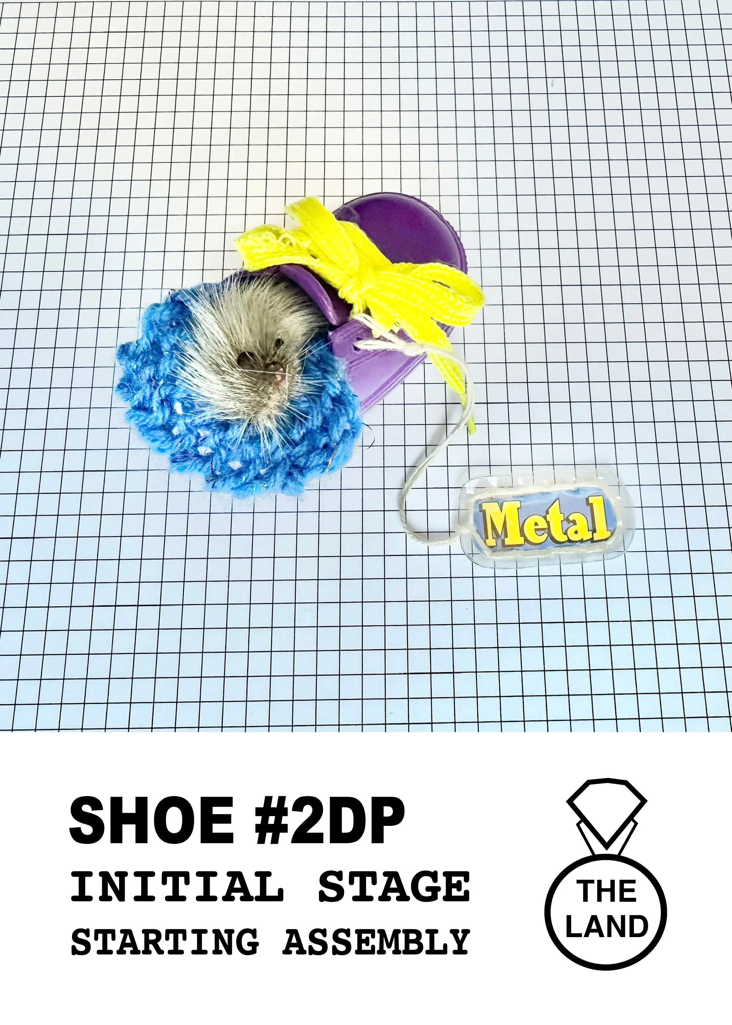 SHOE#2-INITIAL-STAGE.jpg