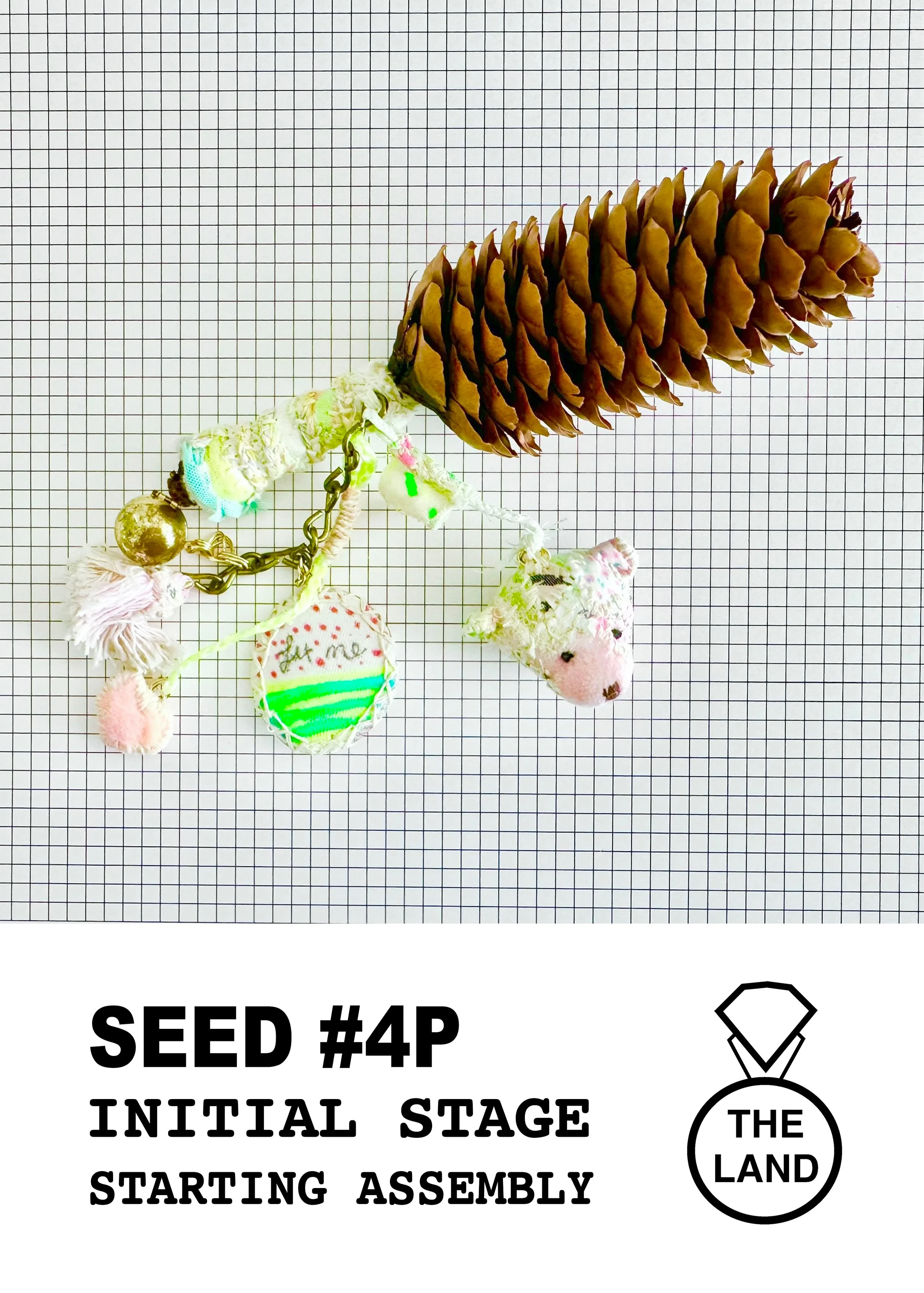 SEED#4-INITIAL-STAGE.jpg