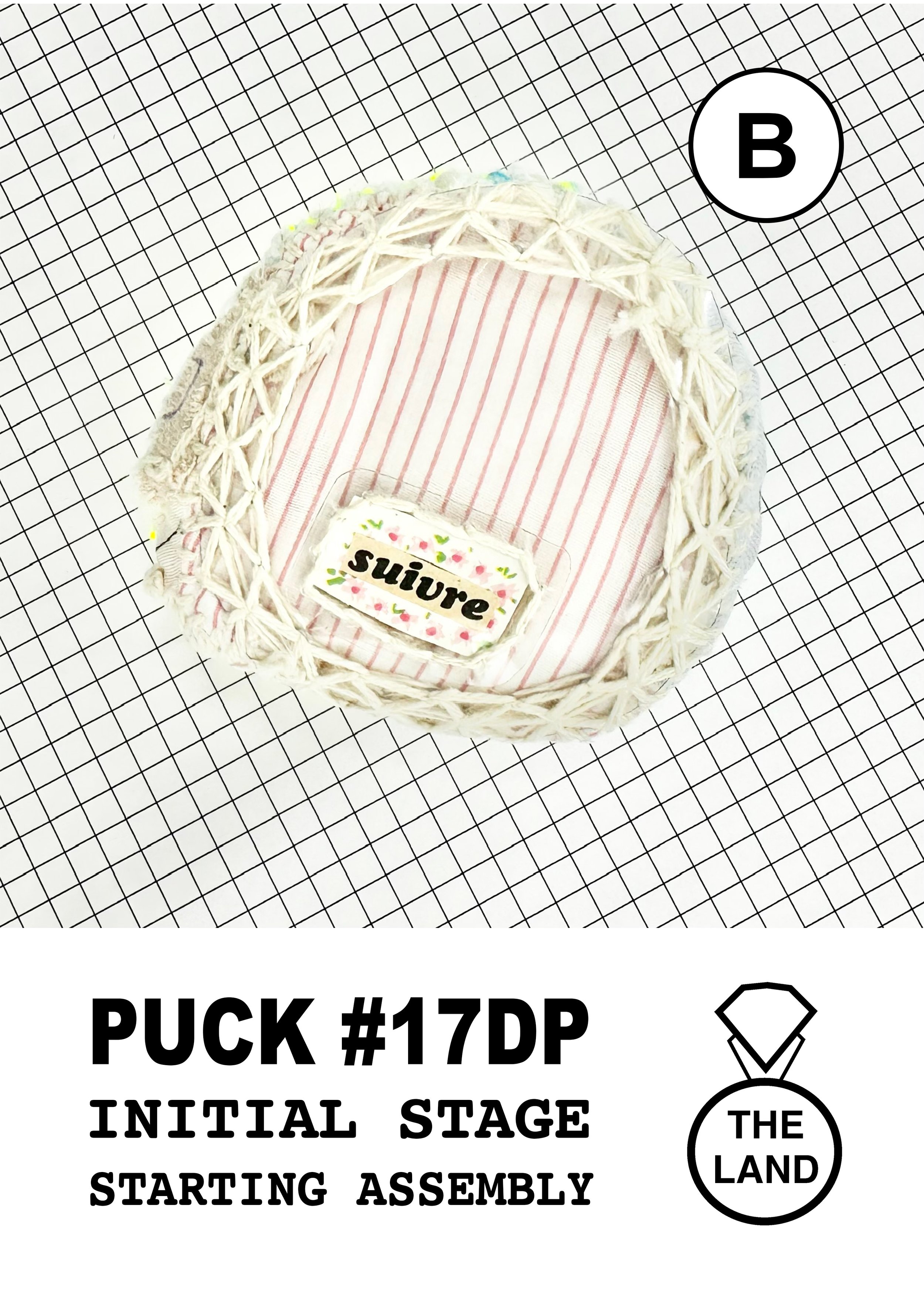 PUCK#17-B-INITIAL-STAGE.jpg