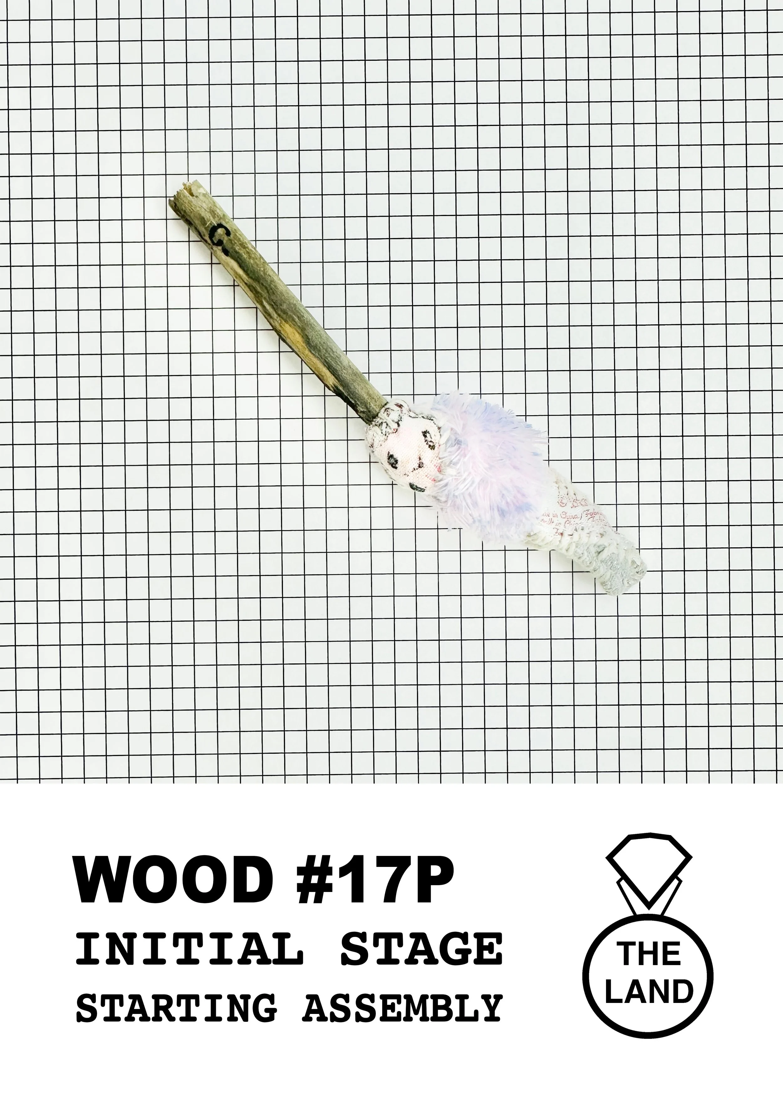 WOOD#17-INITIAL-STAGE.jpg