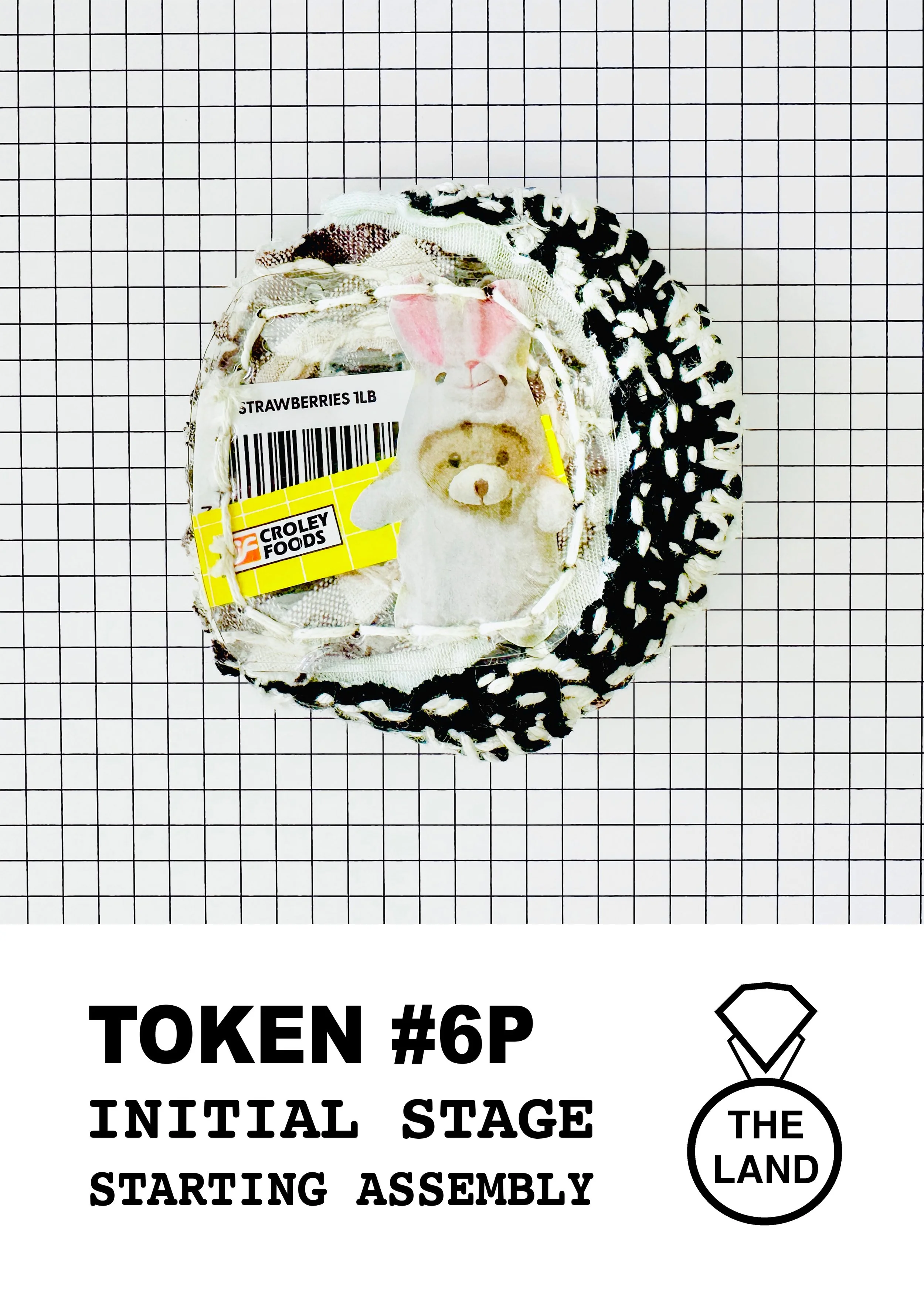TOKEN #6P