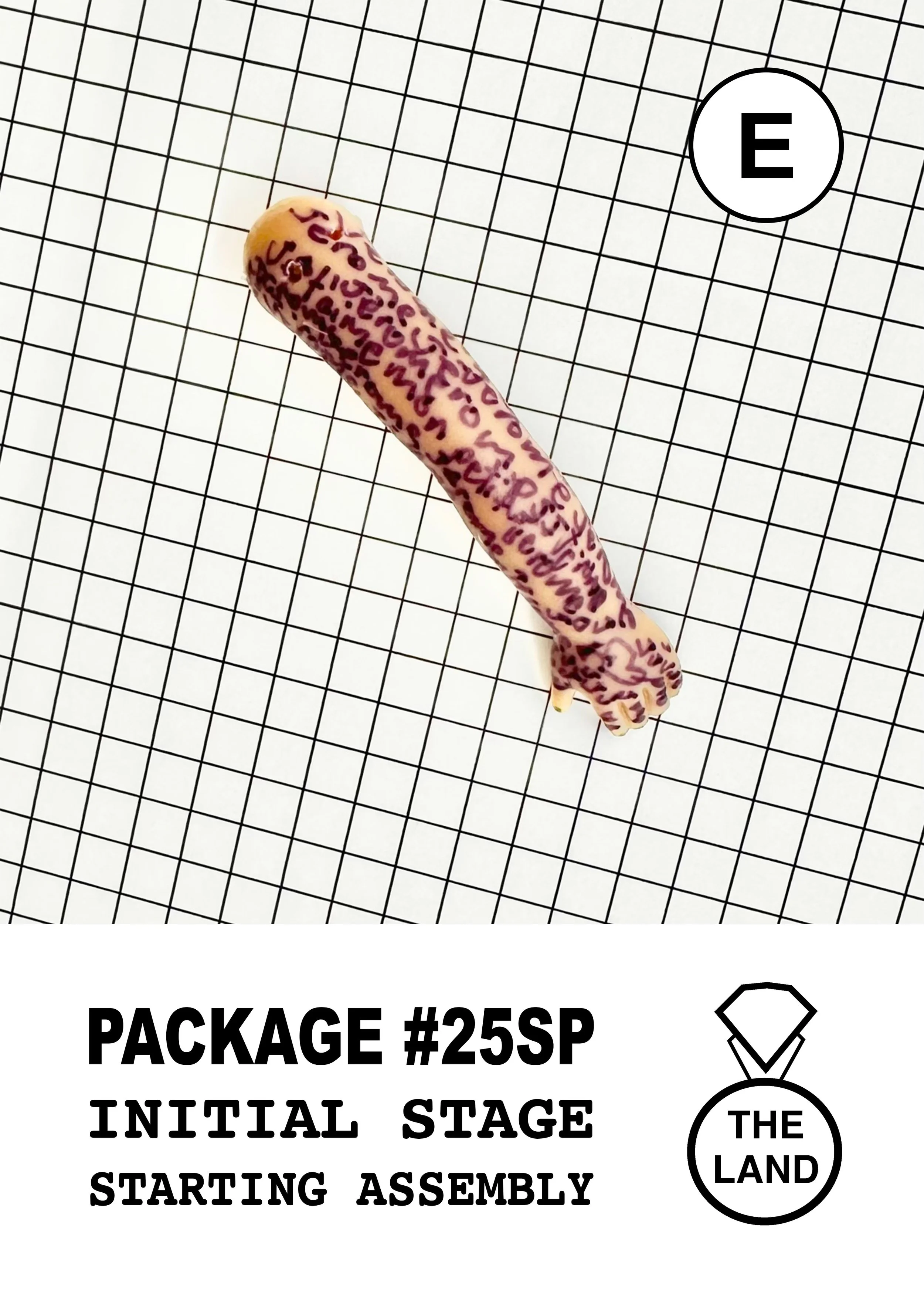 PACKAGE#25-E-INITIAL-STAGE.jpg
