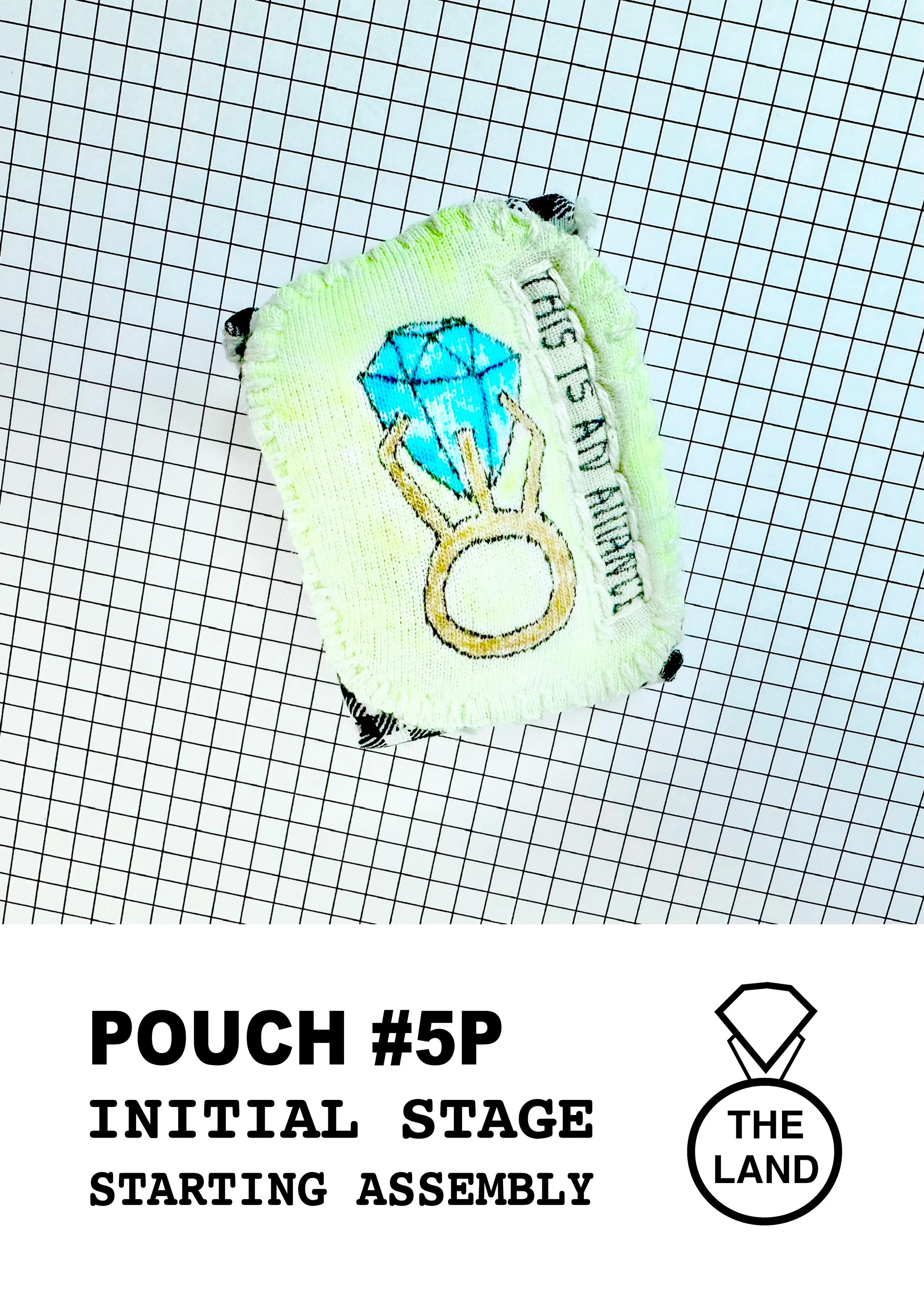 POUCH#5-INITIAL-STAGE.jpg