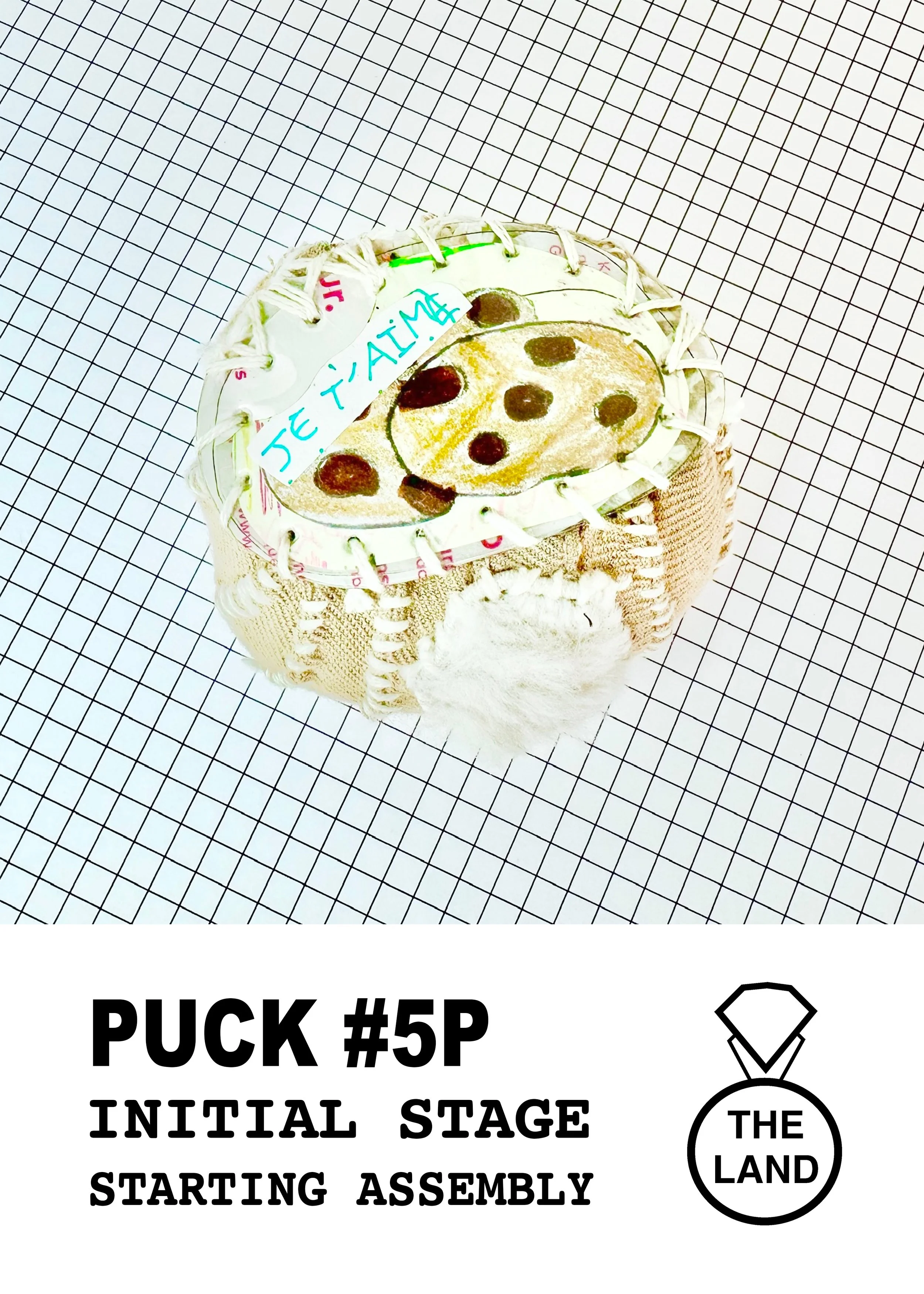 PUCK#5-INITIAL-STAGE.jpg