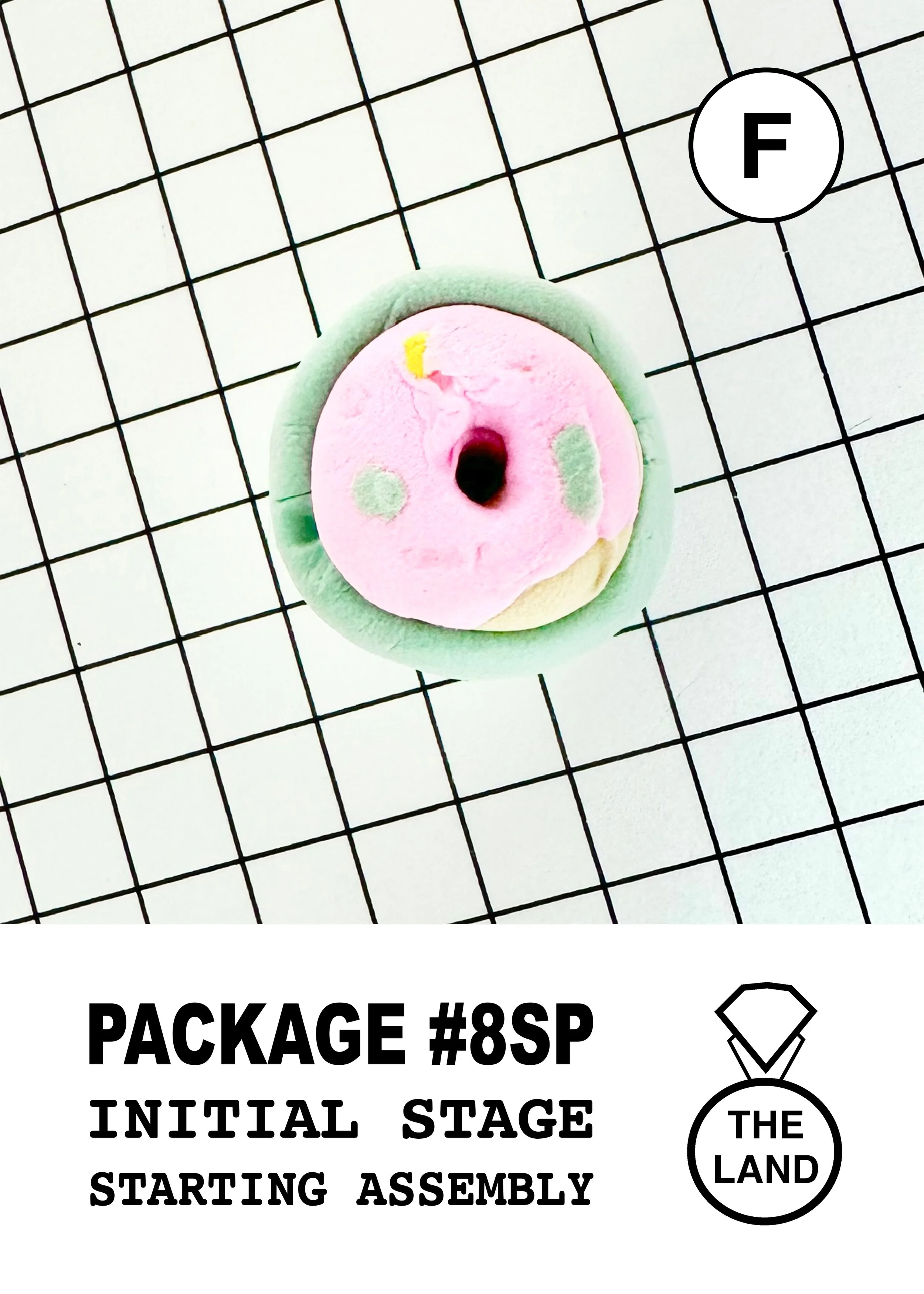 PACKAGE#8-F-INITIAL-STAGE.jpg