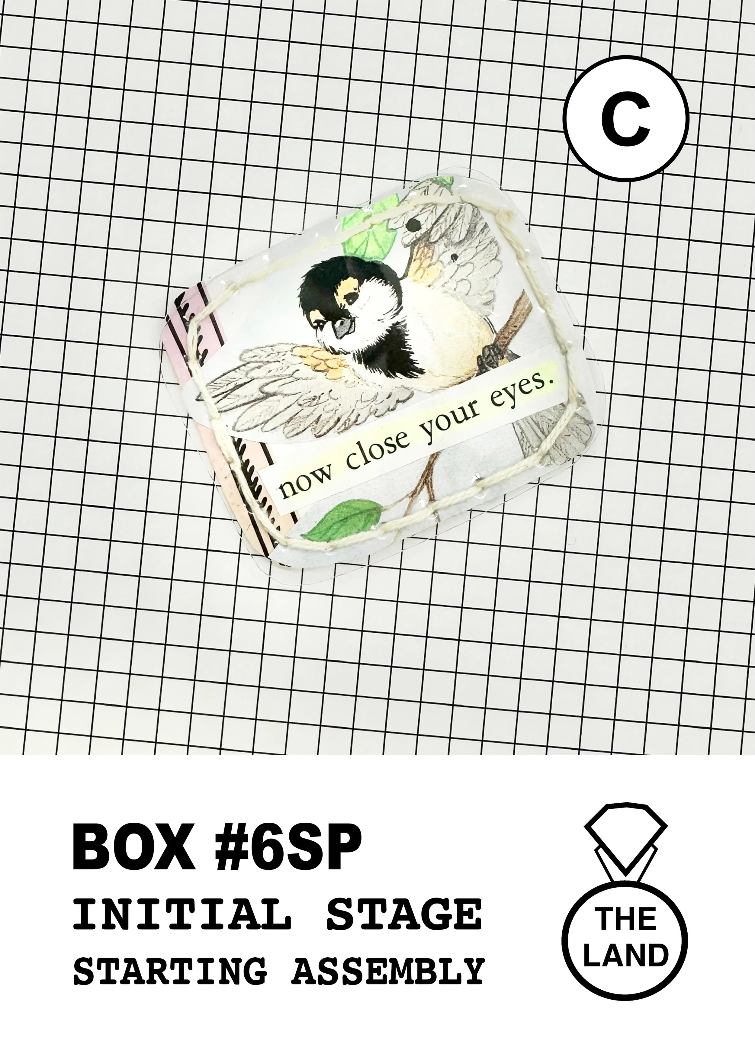 BOX#6-C-INITIAL-STAGE.jpg