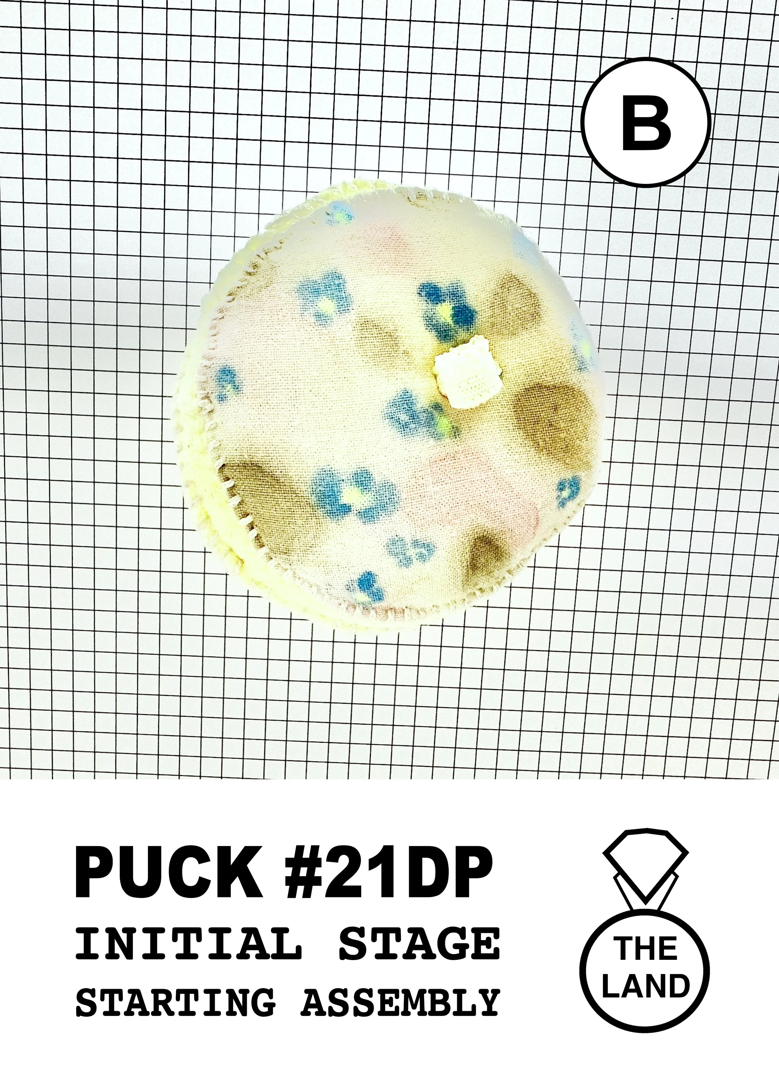 PUCK#21-B-INITIAL-STAGE.jpg