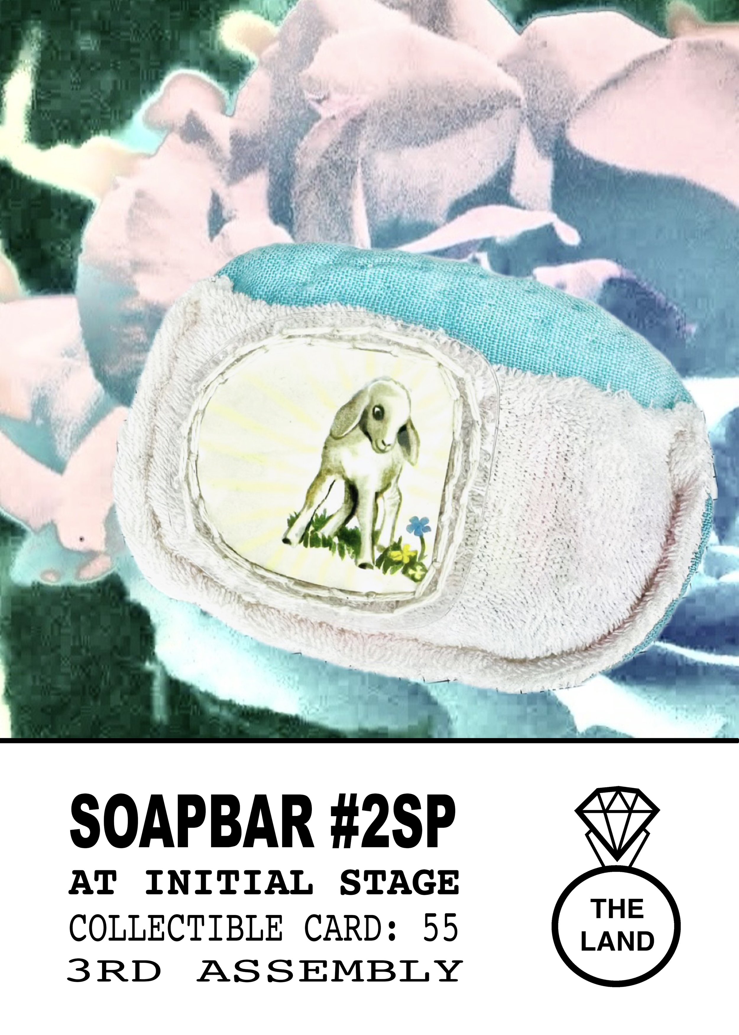 COLLECTIBLE-CARD-55.jpg