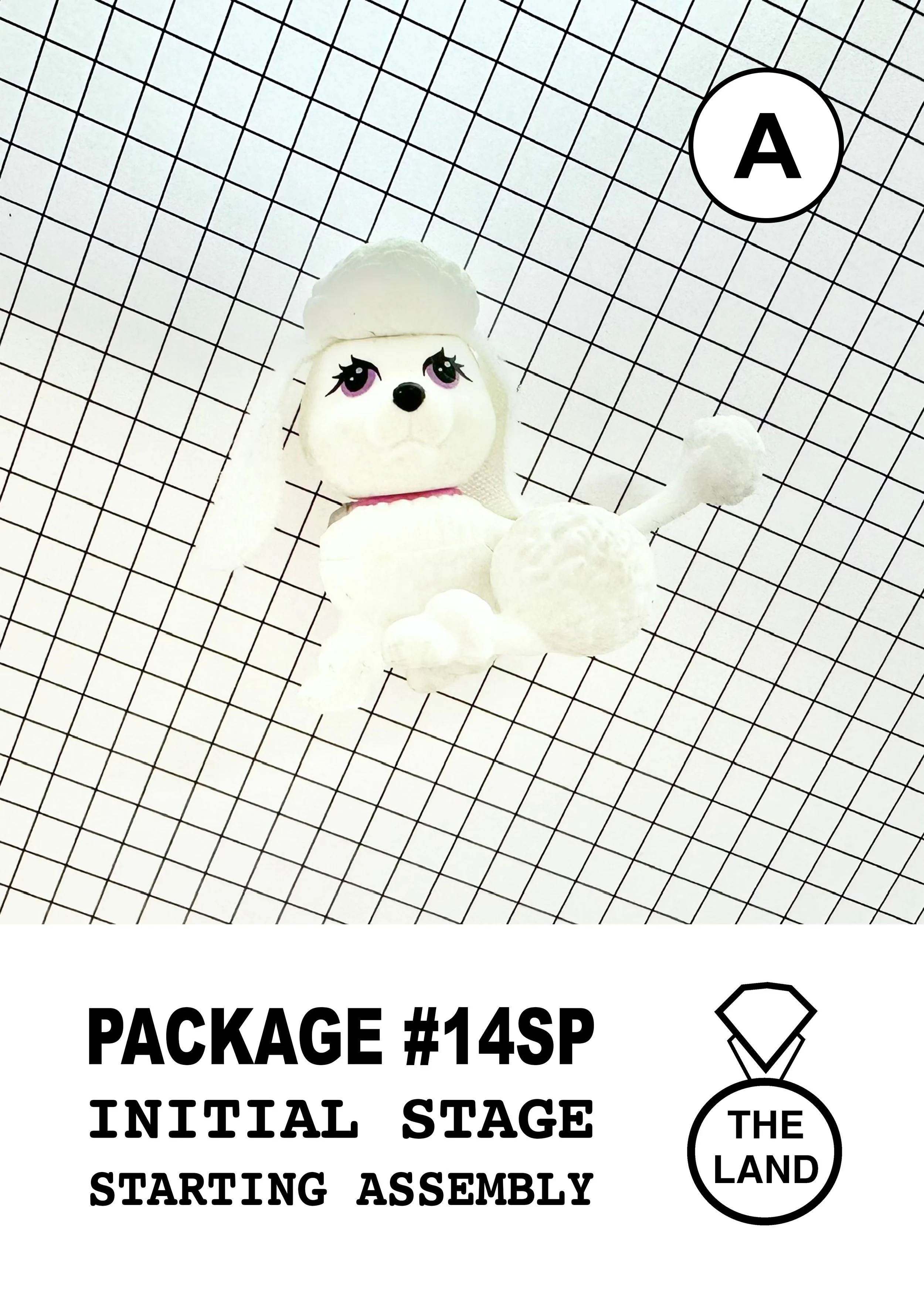 PACKAGE#14-A-INITIAL-STAGE.jpg