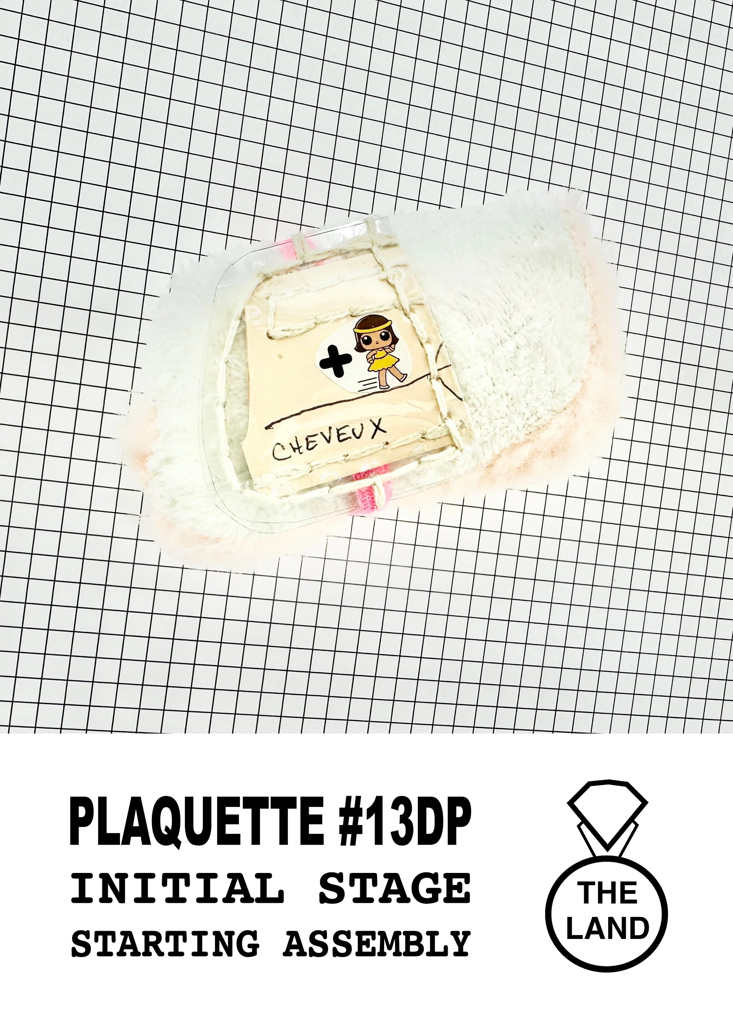 PLAQUETTE #13DP