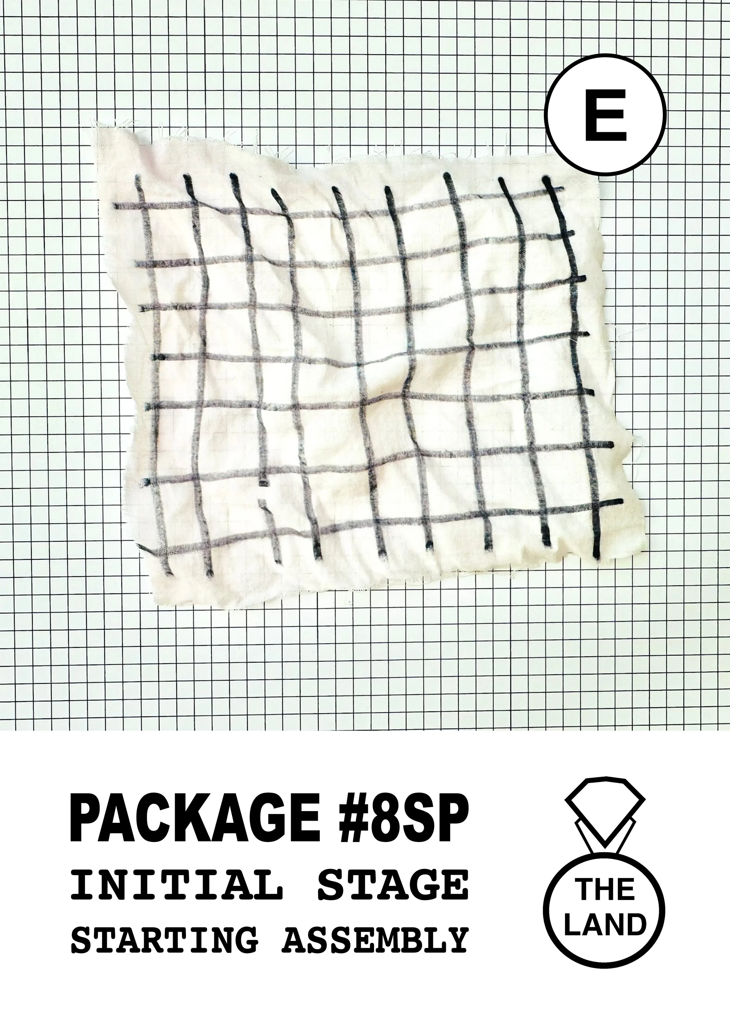 PACKAGE#8-E-INITIAL-STAGE.jpg