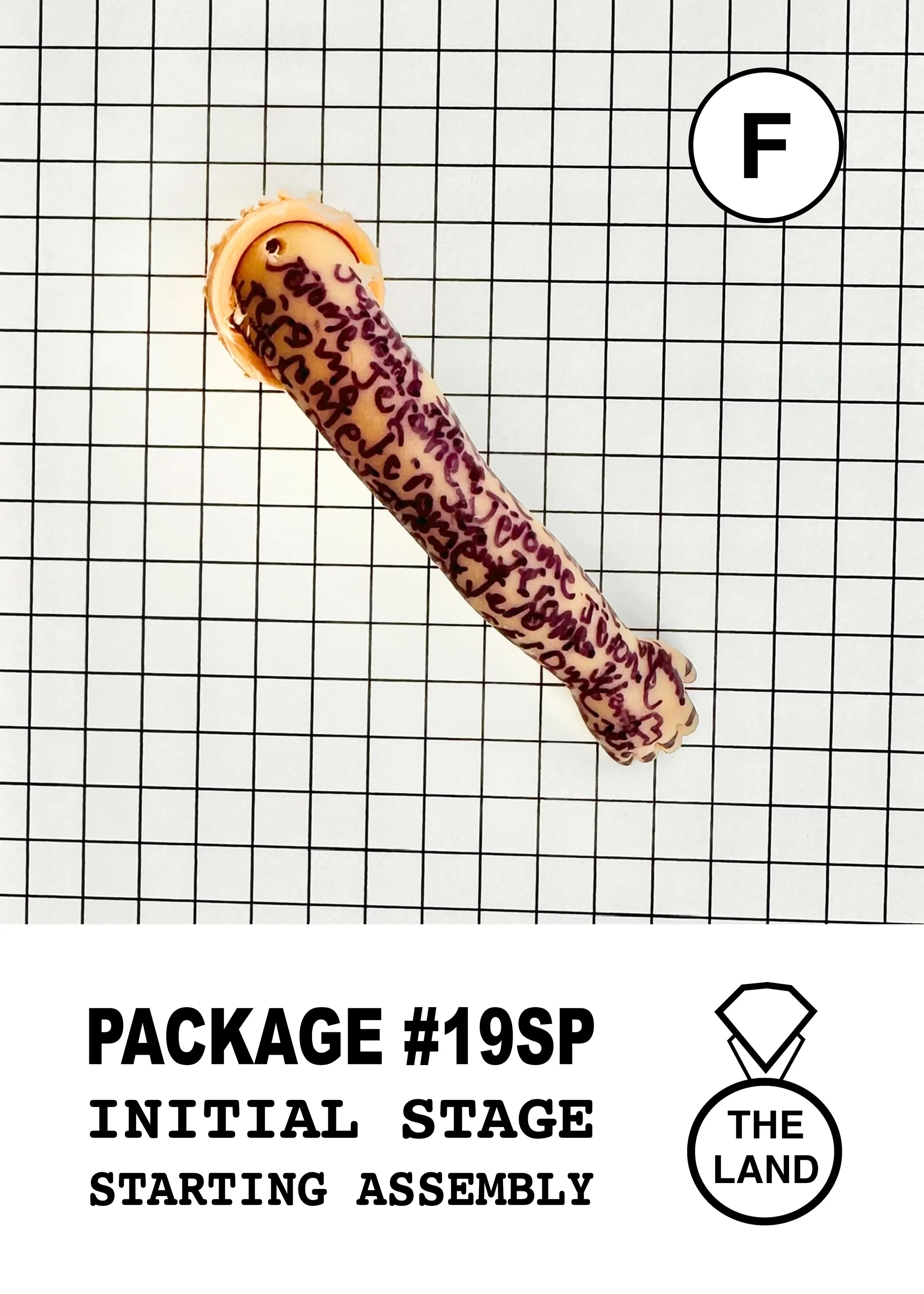 PACKAGE#19-F-INITIAL-STAGE.jpg