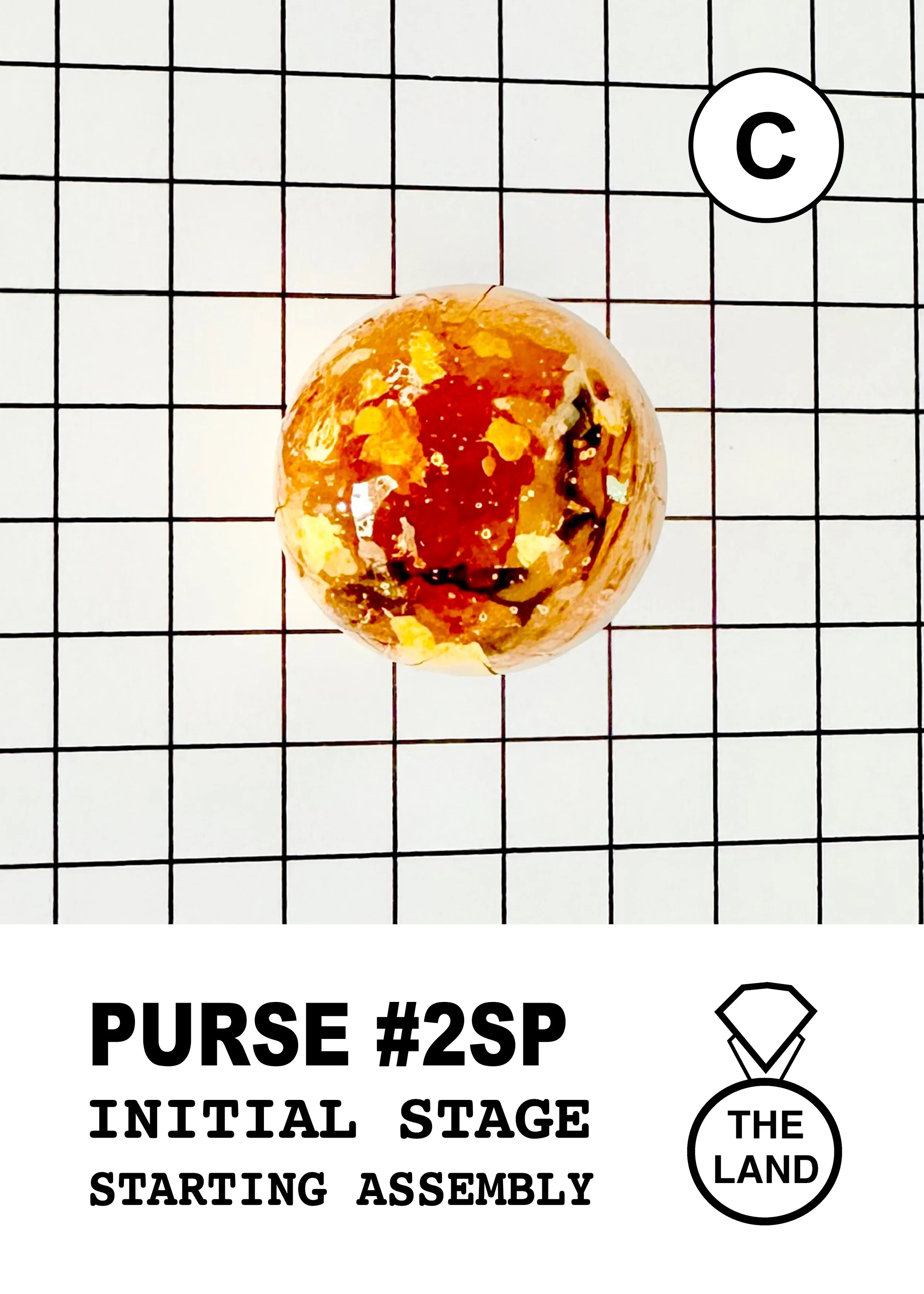PURSE#2-C-INITIAL-STAGE.jpg
