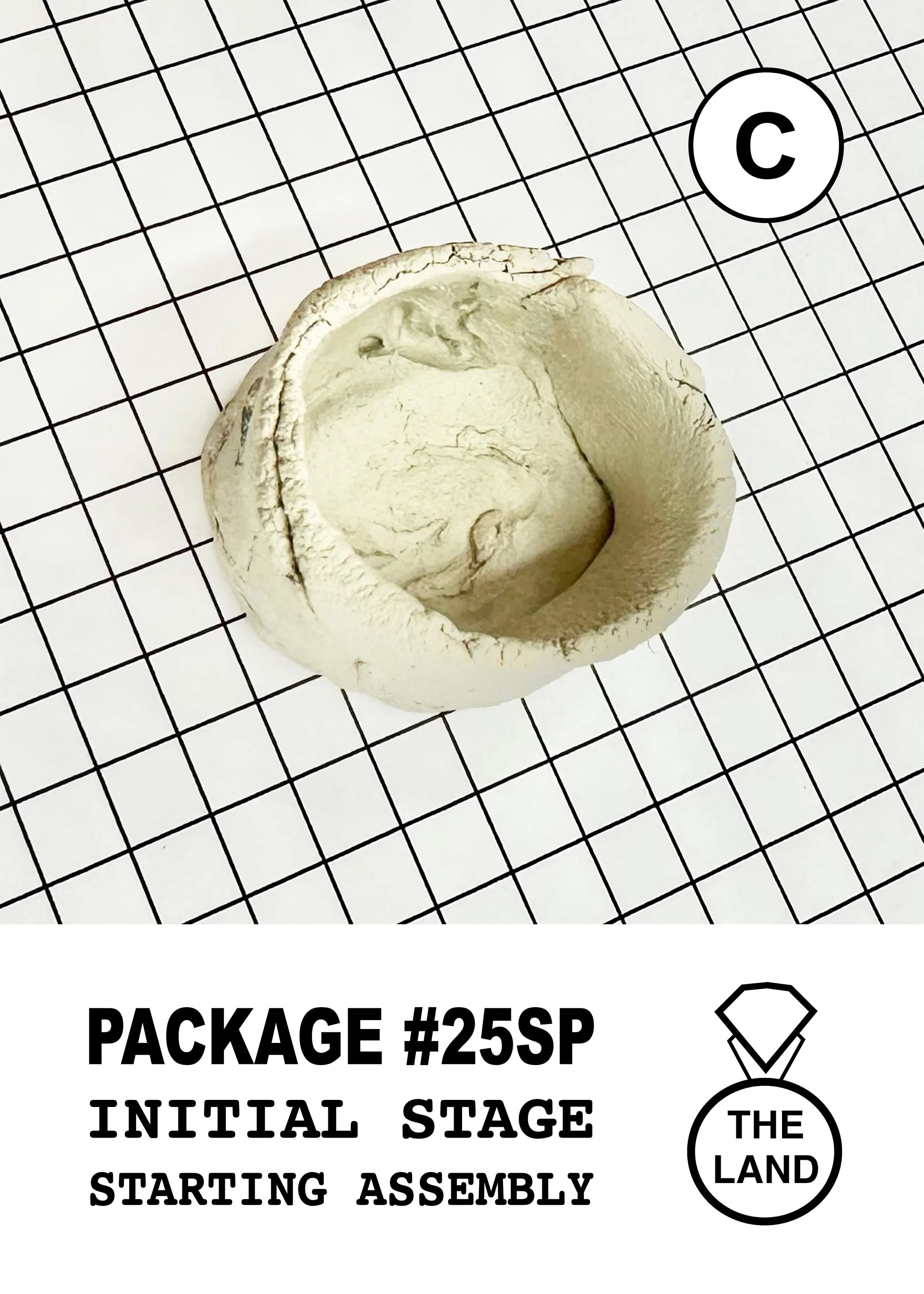 PACKAGE#25-C-INITIAL-STAGE.jpg