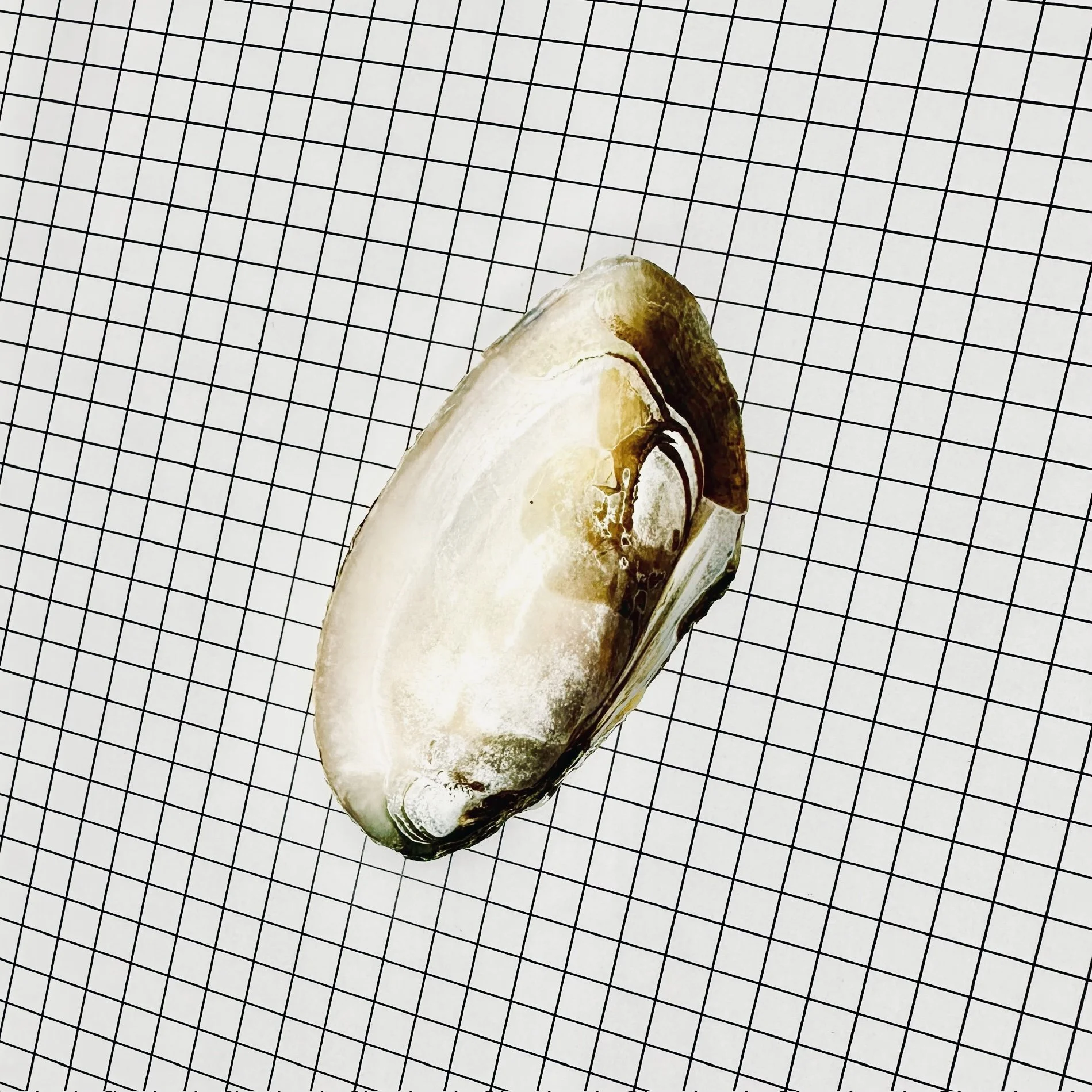 PACKAGE#16-G.JPG