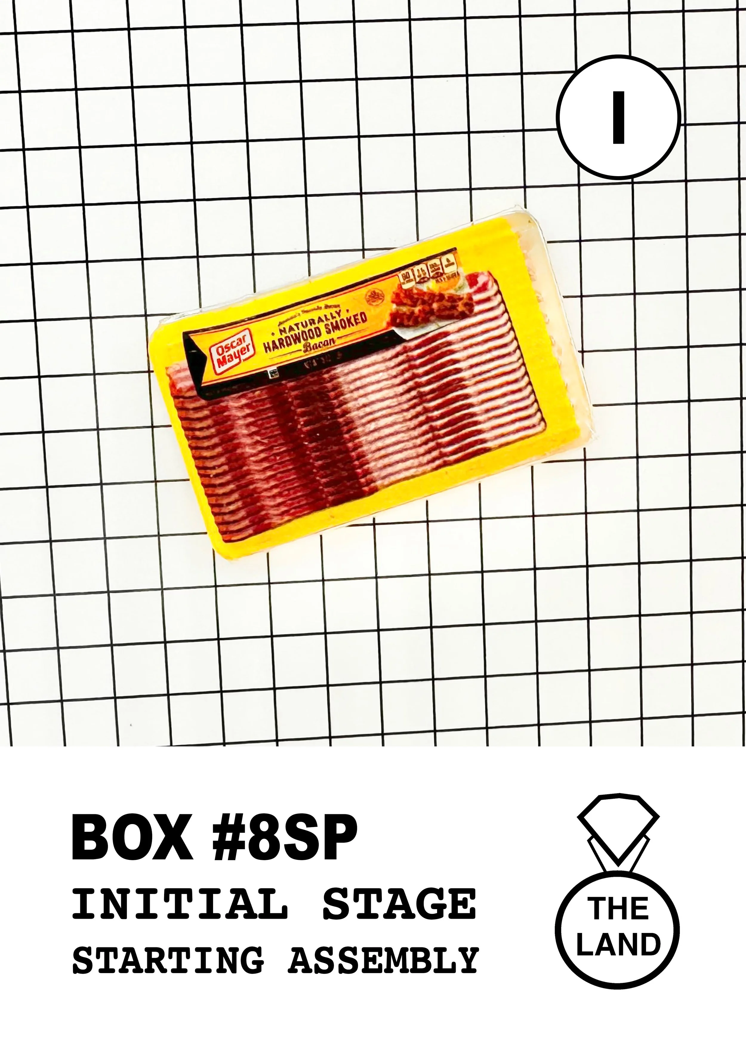 BOX#8-I-INITIAL-STAGE.jpg
