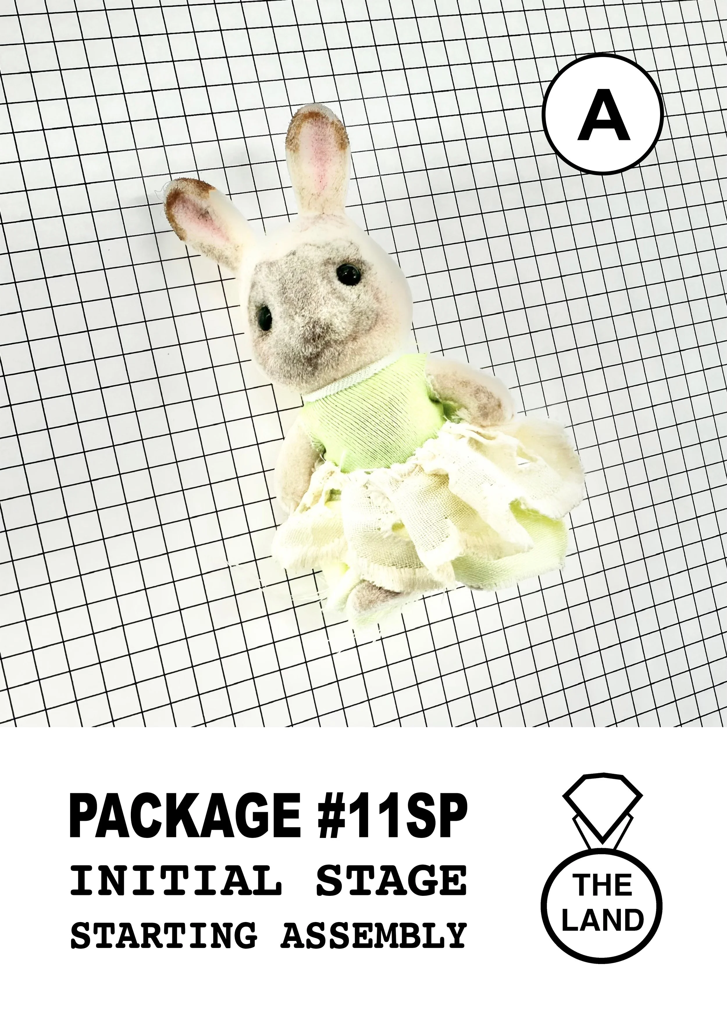 PACKAGE#11-A-INITIAL-STAGE.jpg