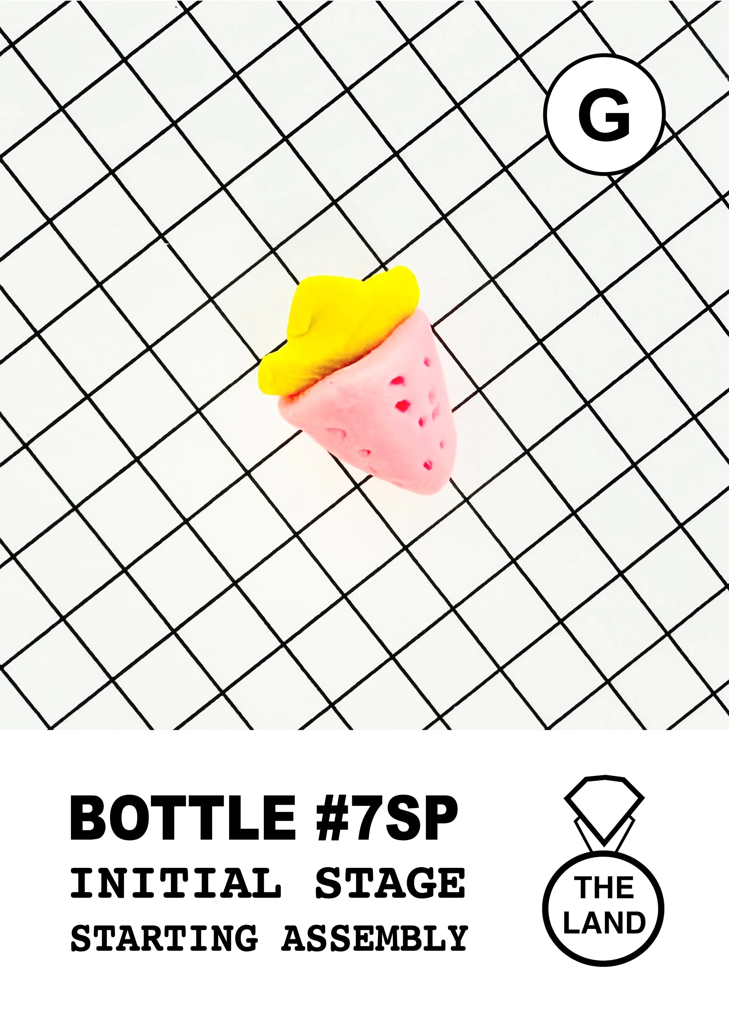 BOTTLE#7-G-INITIAL-STAGE.jpg