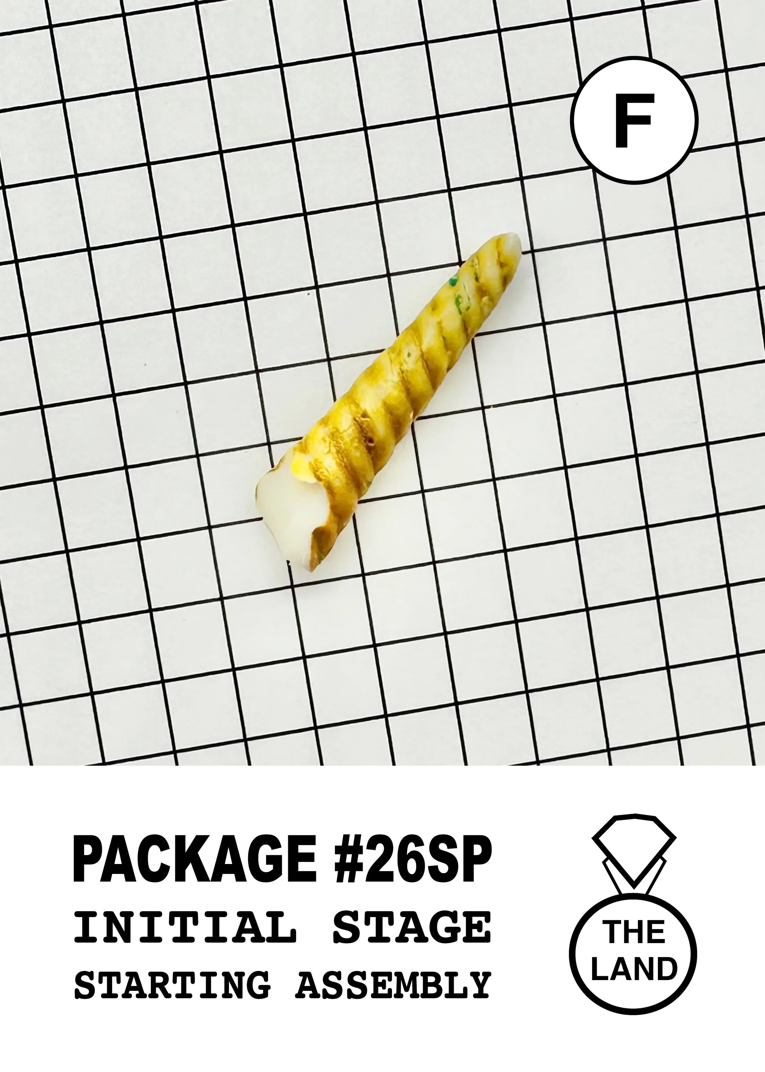 PACKAGE#26-F-INITIAL-STAGE.jpg