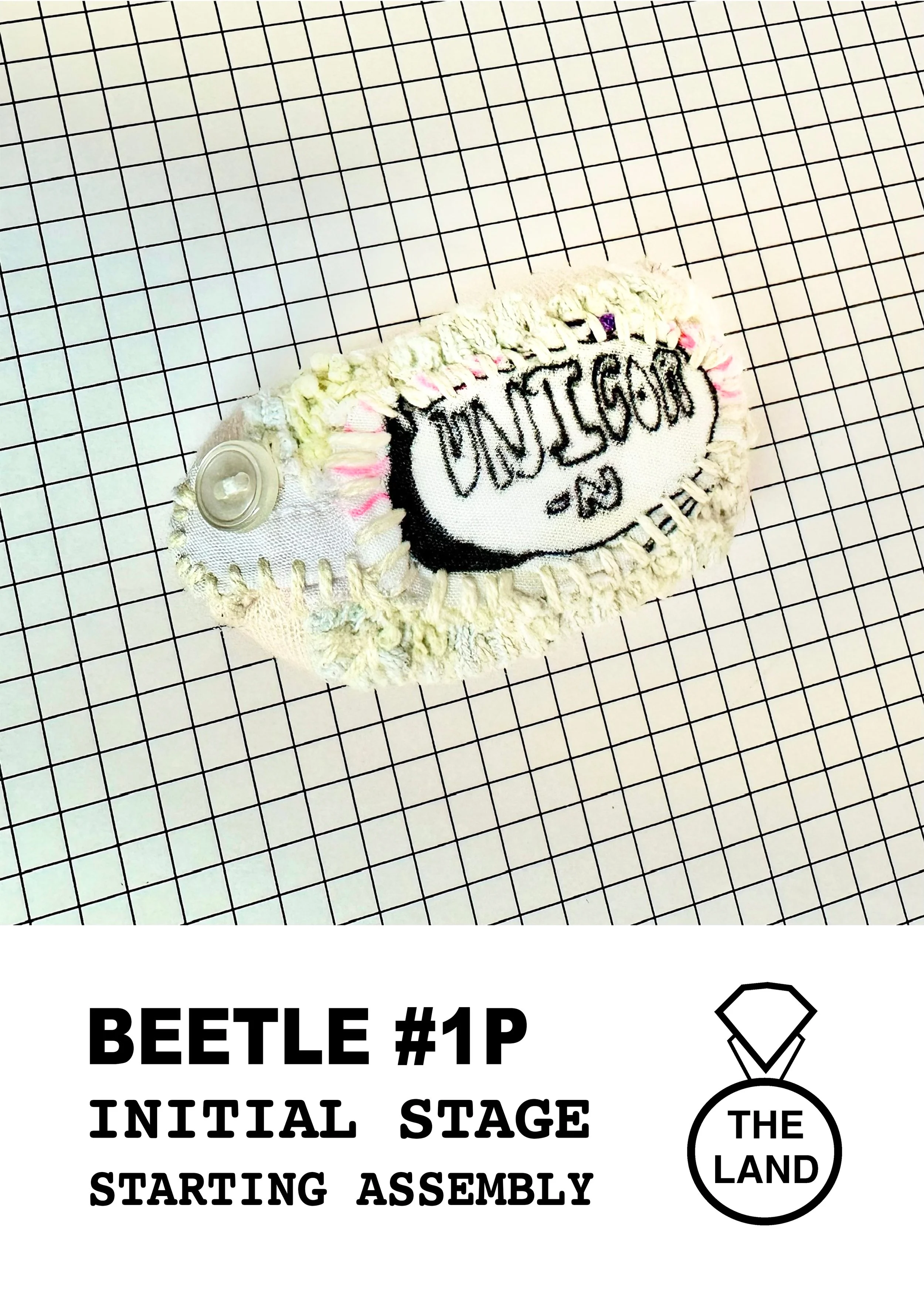 BEETLE#1-INITIAL-STAGE.jpg