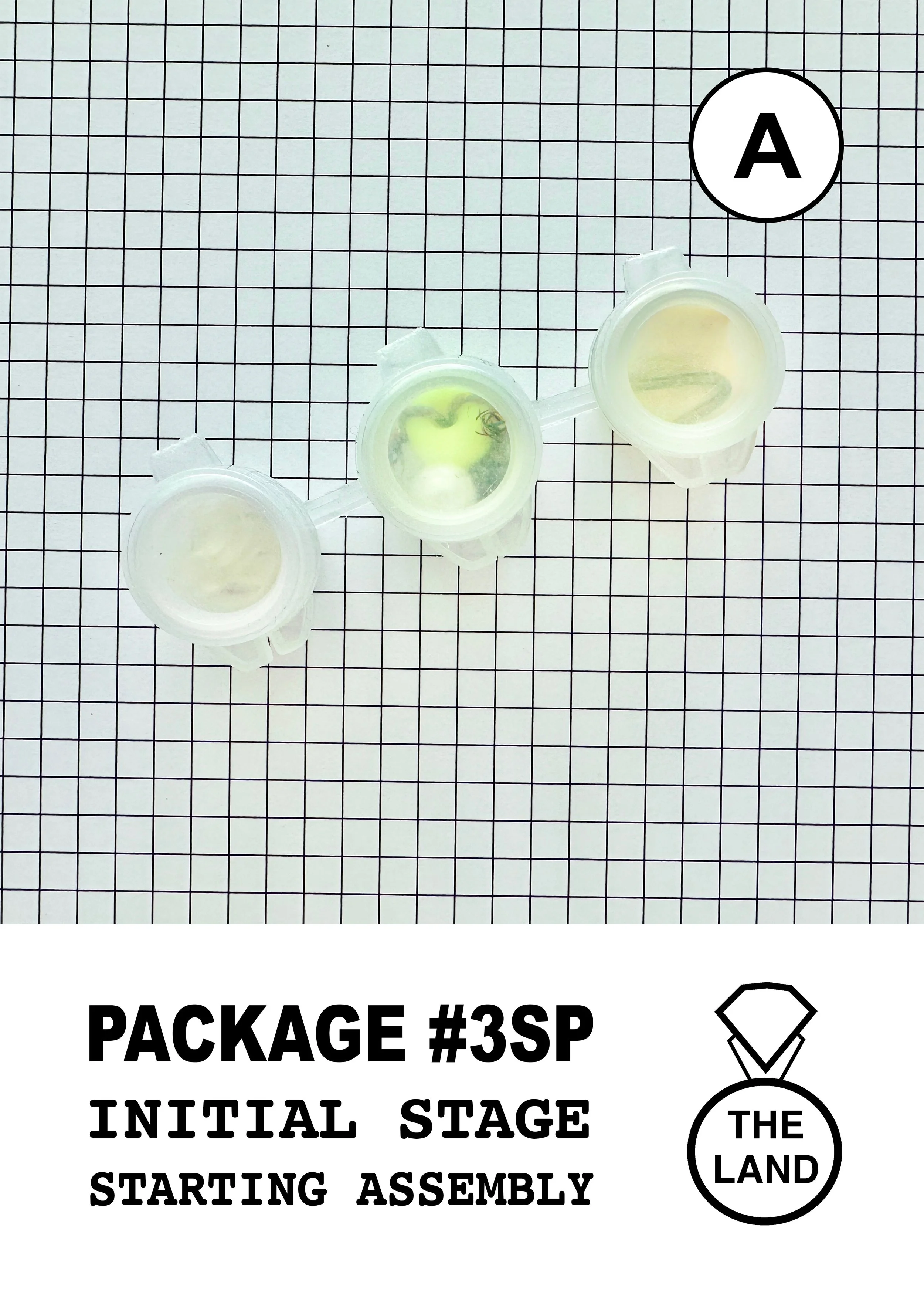 PACKAGE#3-A-INITIAL-STAGE.jpg