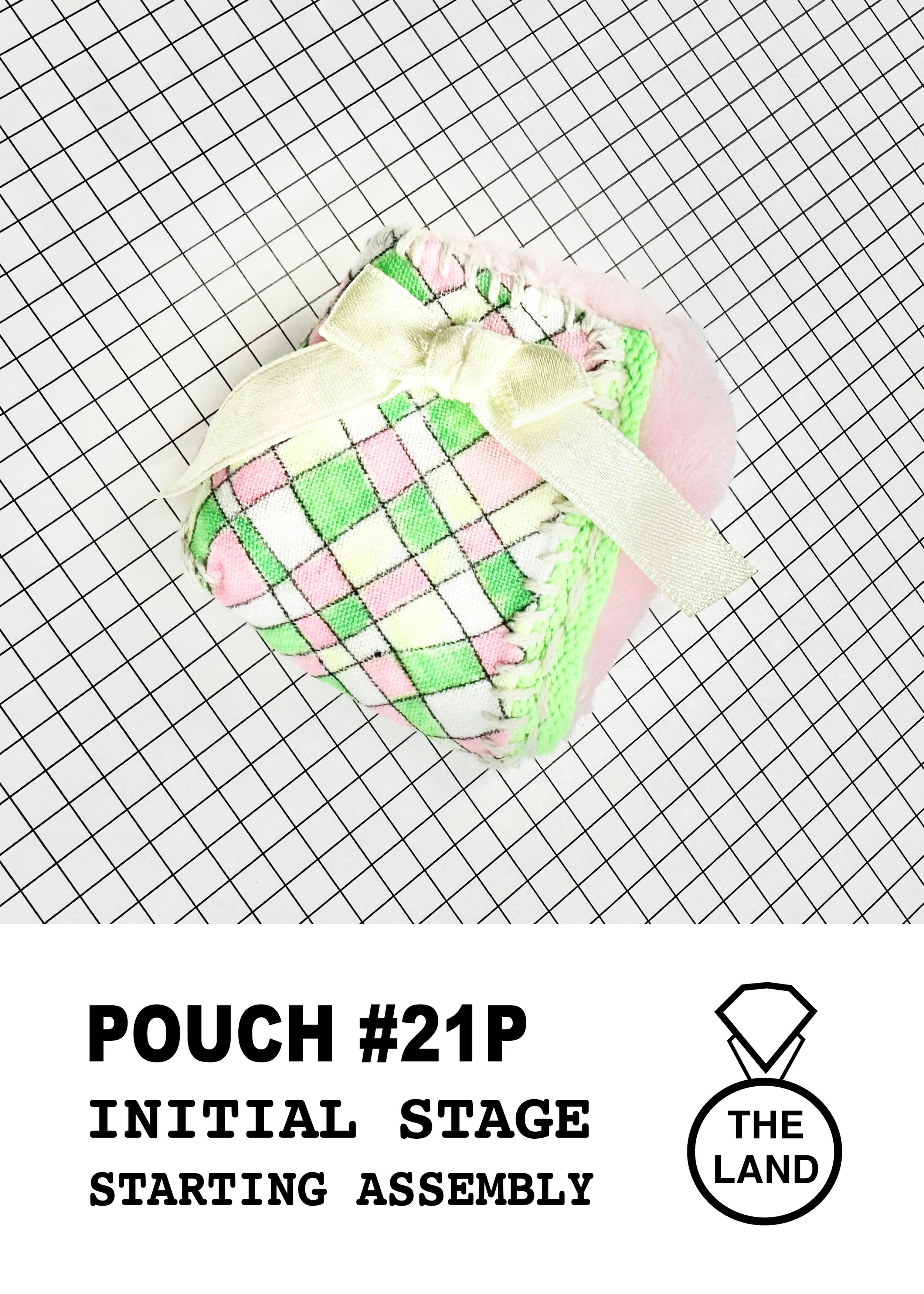 POUCH#21-INITIAL-STAGE.jpg