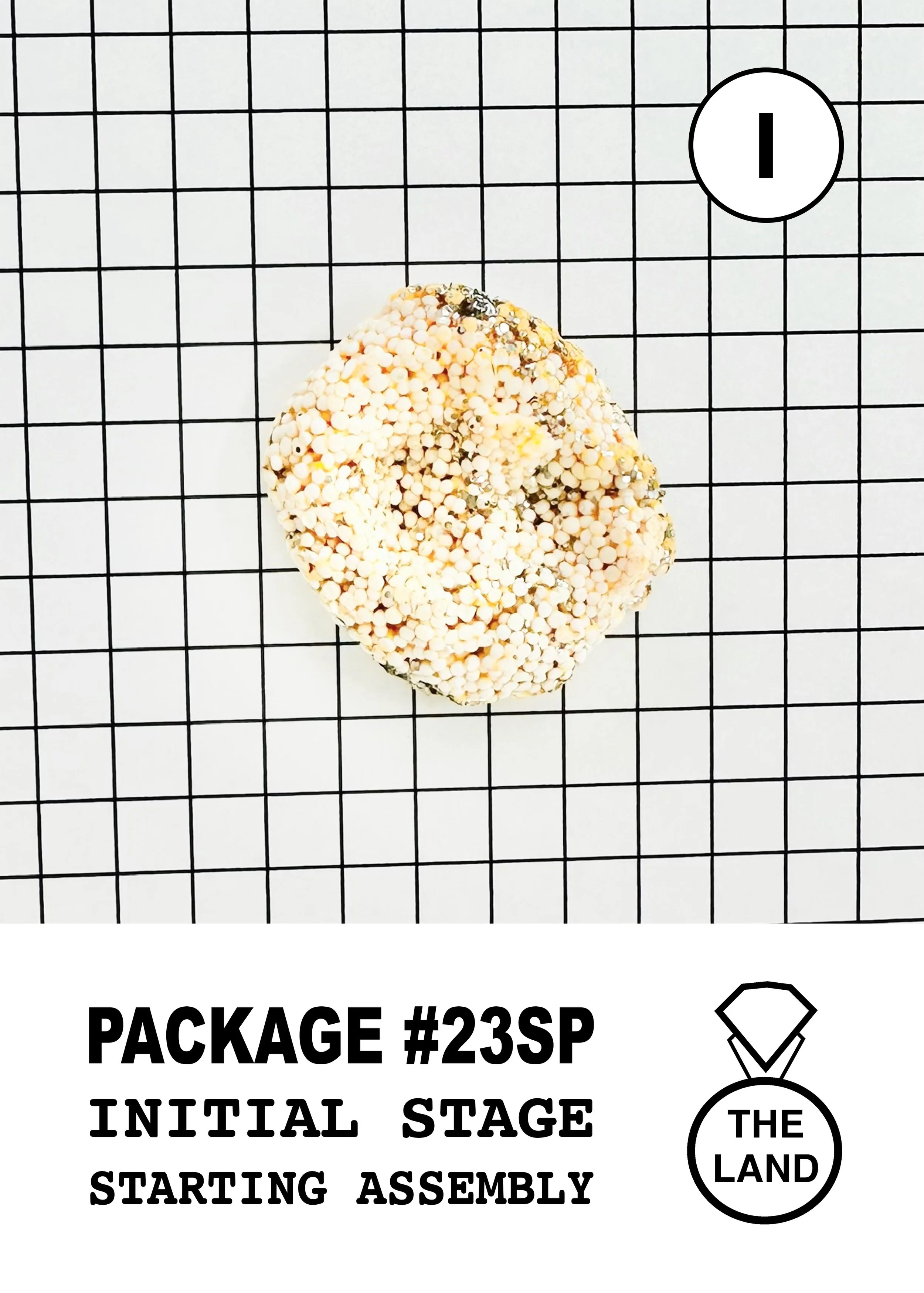 PACKAGE#23-I-INITIAL-STAGE.jpg