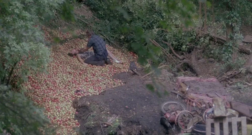 Orchard-End-Murder00009_apples.jpeg