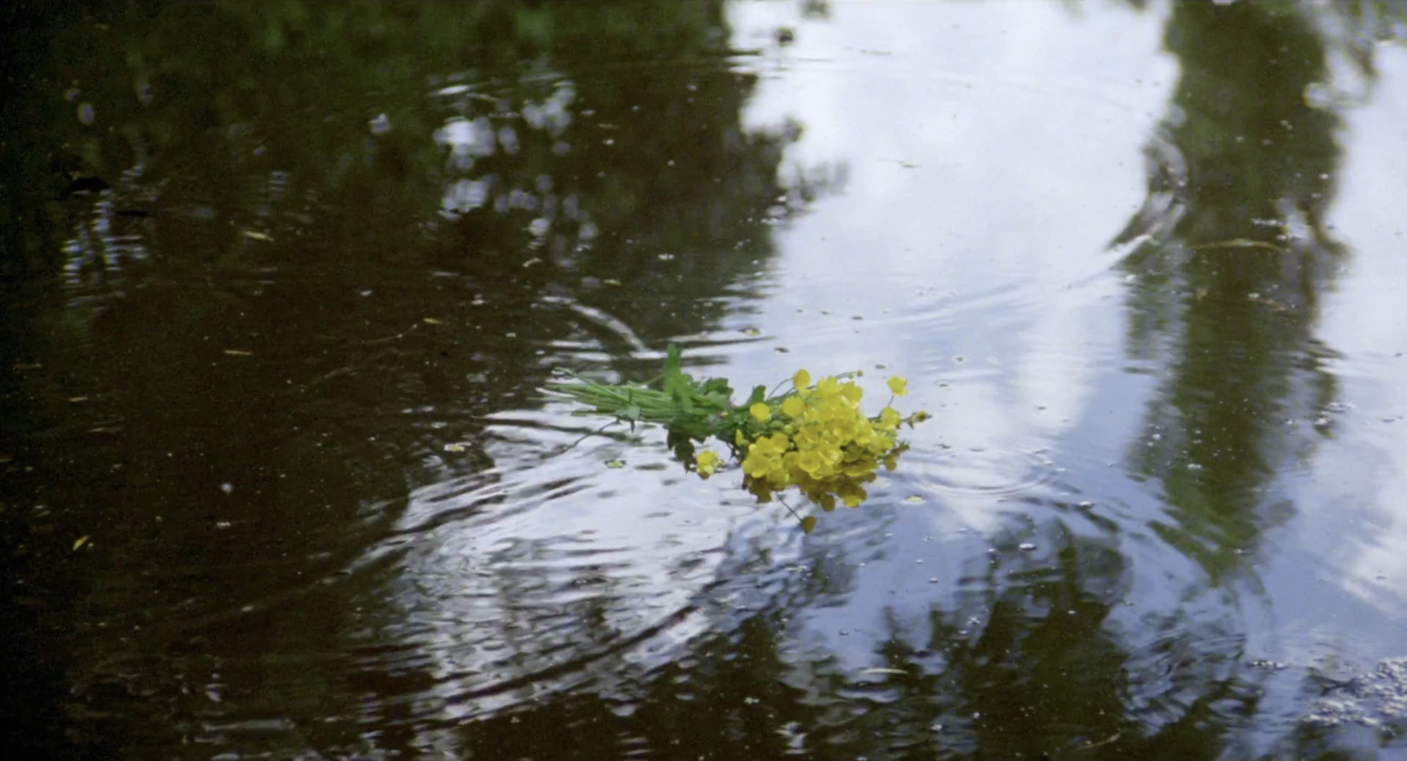 tumblr_74713a14fbc172cf4a792549298bd242_afd6a20b_1280.png