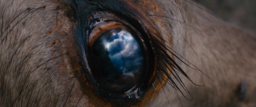 Screen Shot 2022-09-30 at 6.11.13 PM.png