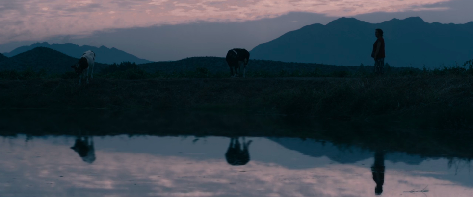 Screen Shot 2022-09-30 at 6.19.58 PM.png