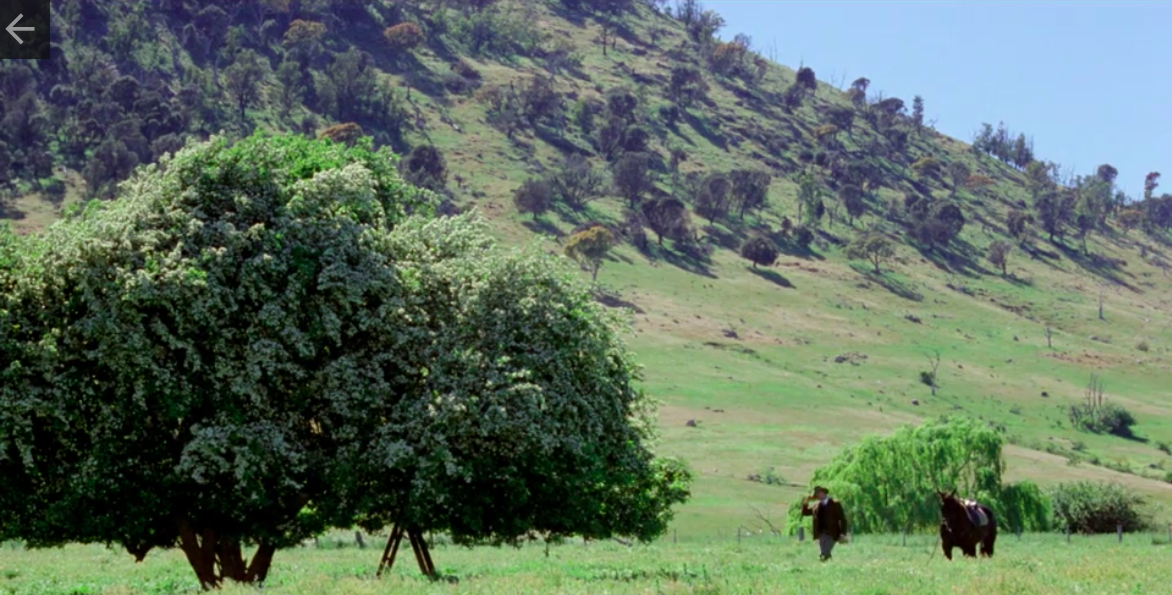 Screen Shot 2021-03-12 at 10.37.22 AM.png