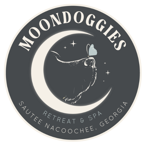 Moon Doggies Stay &amp; Play