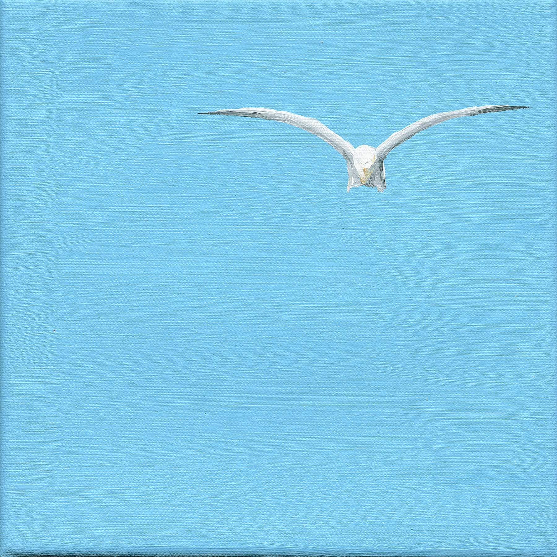 SOARING.jpg