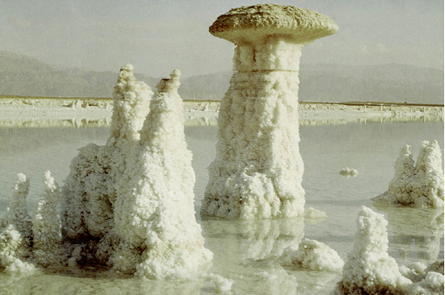 Salt Pillars on the shores of the Dead Sea