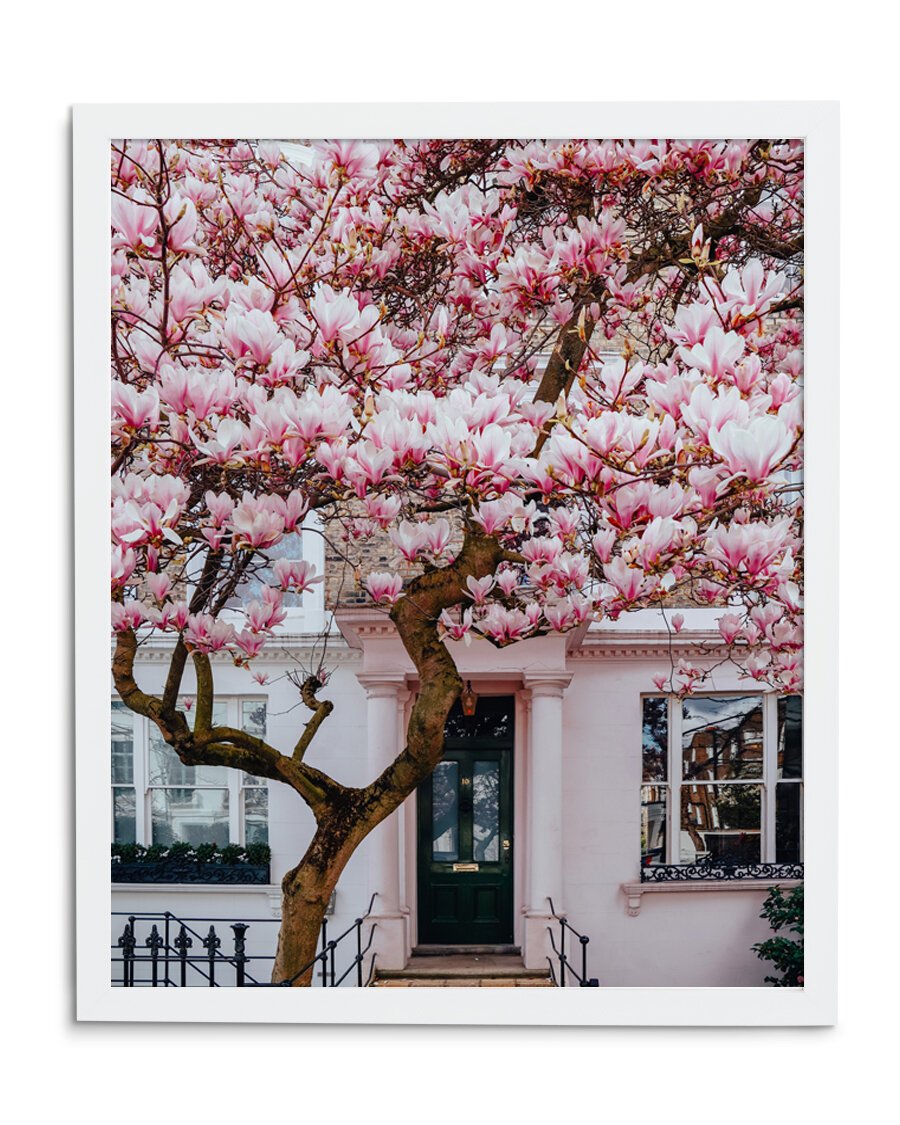 Cherry-Blossoms-in-Notting-Hill-low-res_frame.jpg