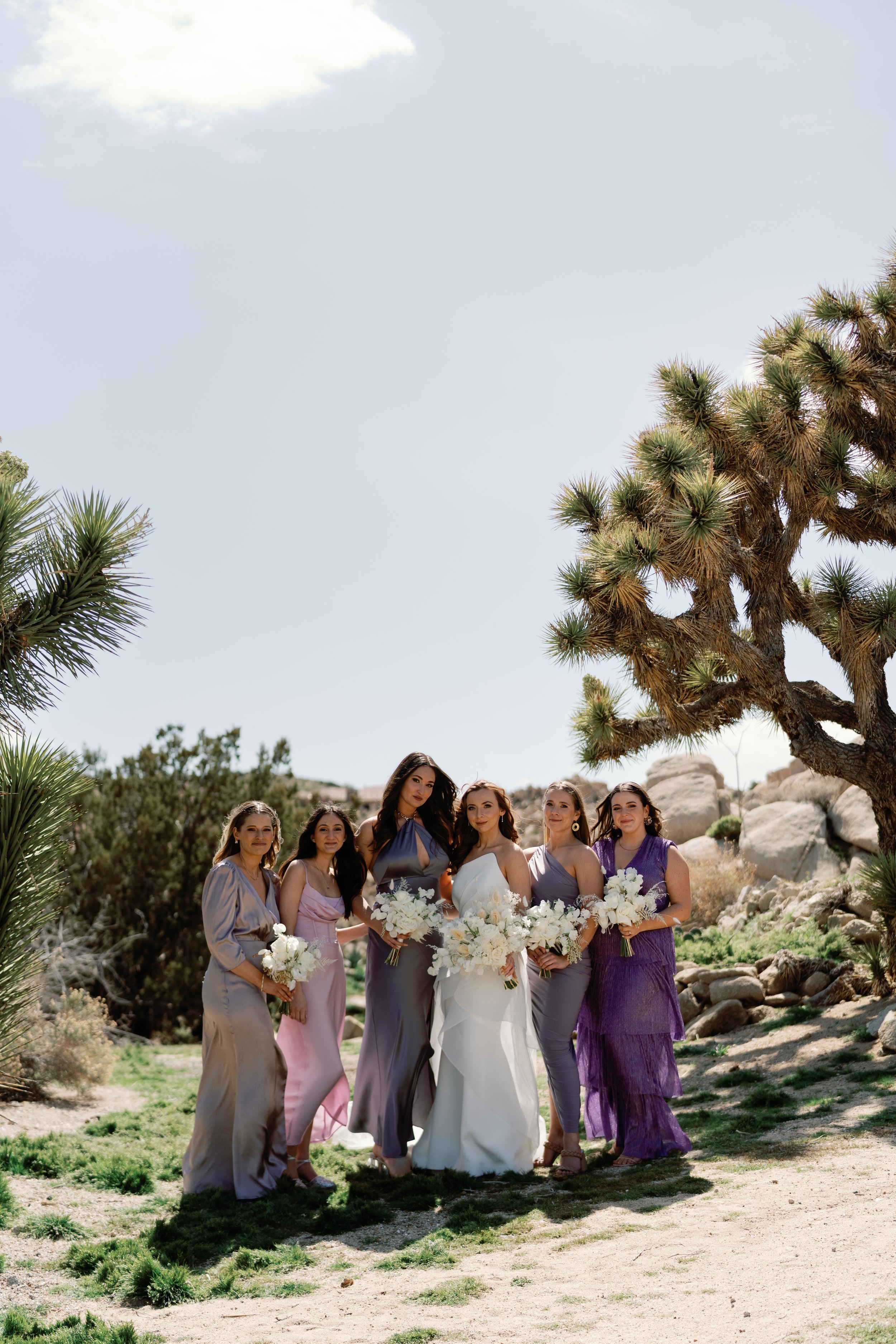 vanessaandjames-3627.jpg