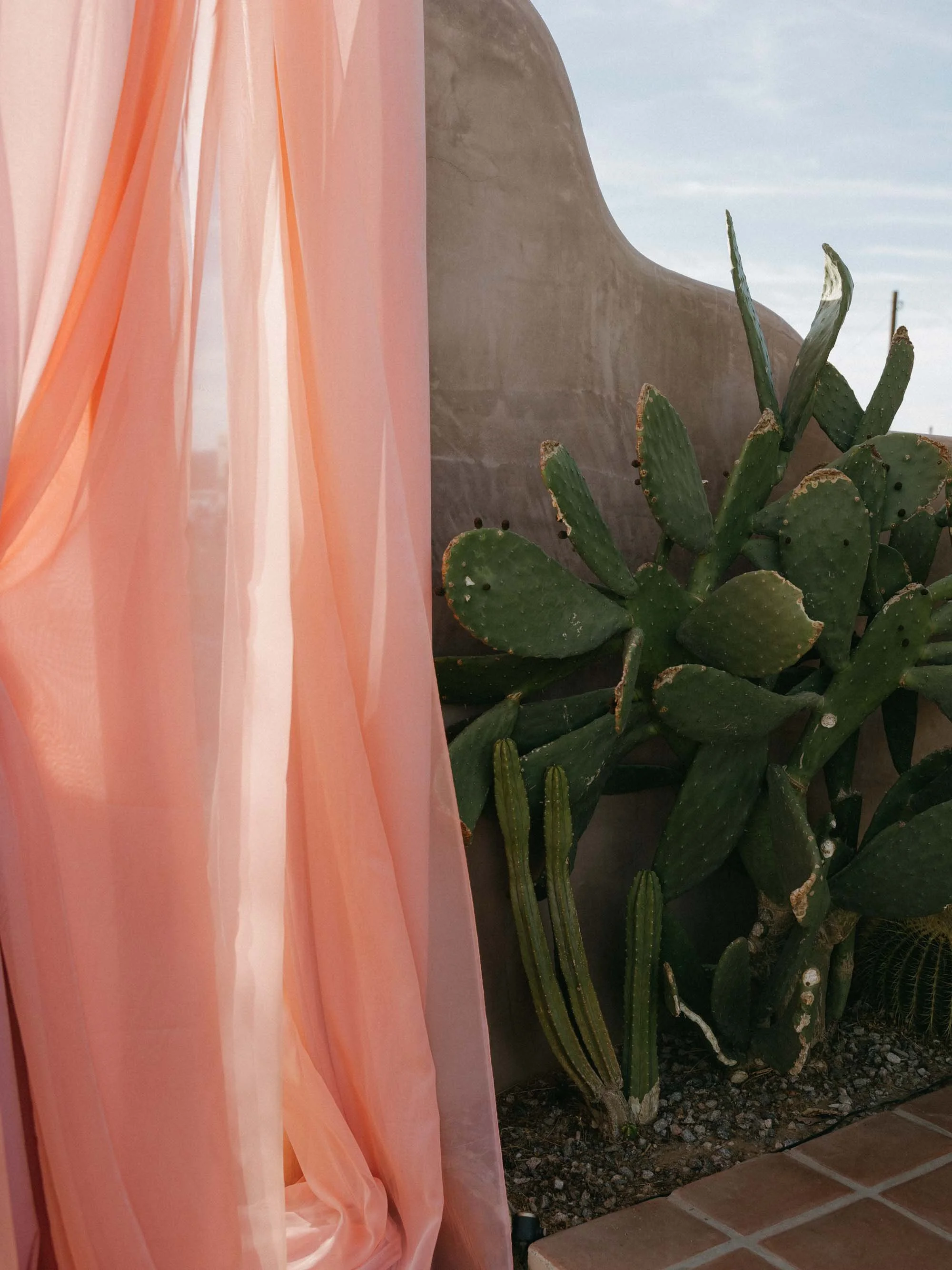 Morada Joshua Tree Wedding - Michelle Garibay Events Wedding Planning and Design 0 (5).jpg