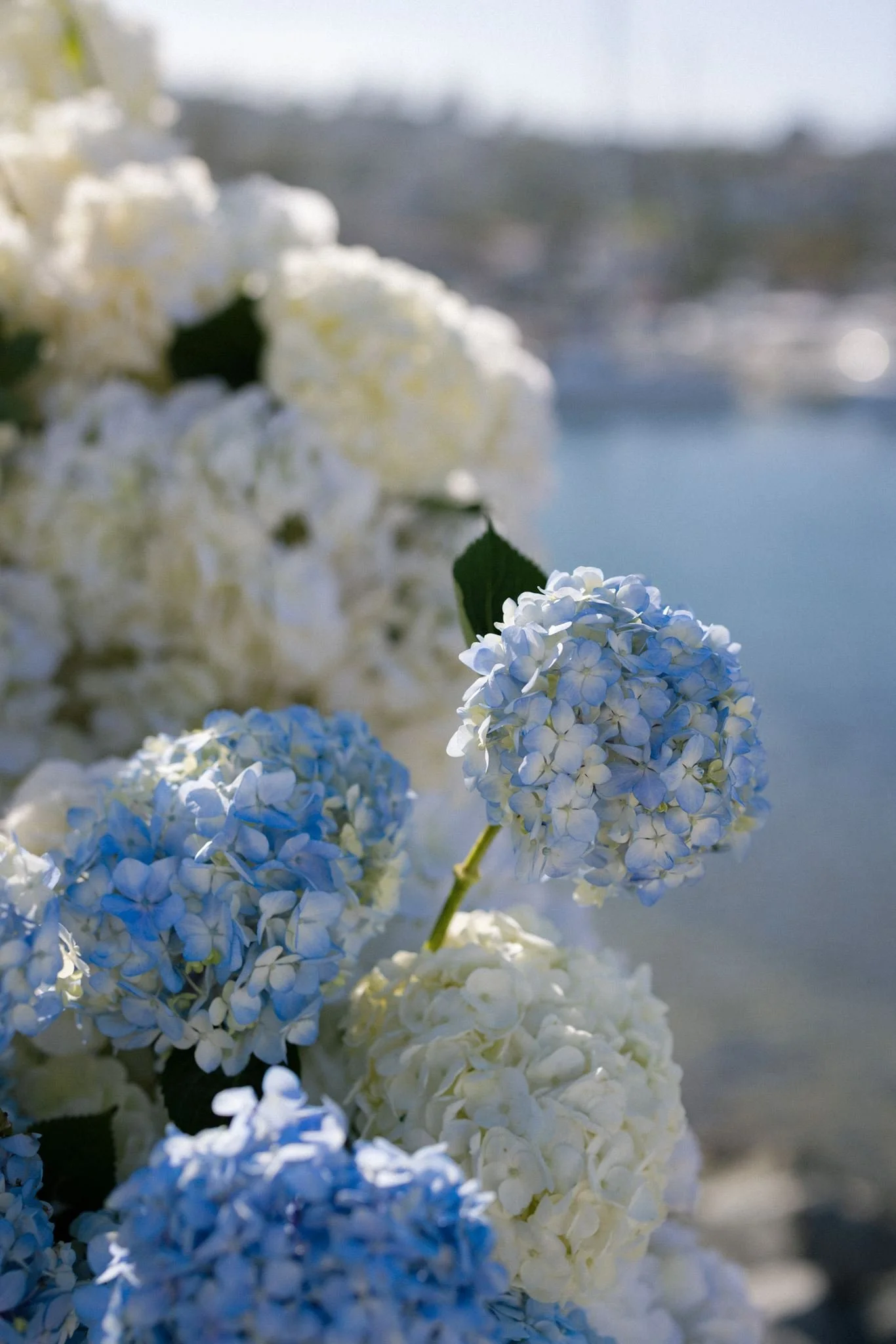 Kona Kai San Diego Resort Wedding - Michelle Garibay Events Wedding Planning and Design 8 (2).jpg