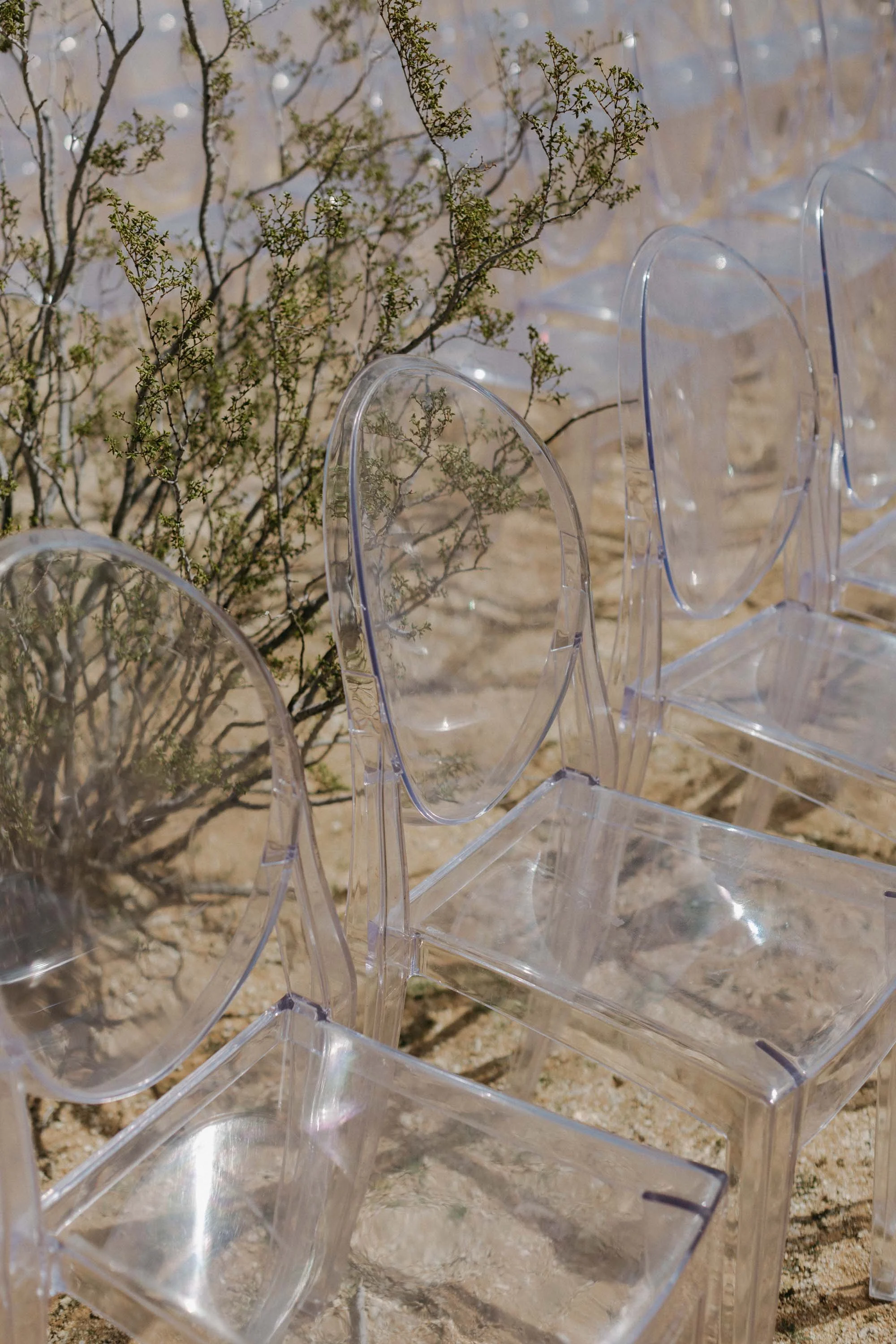 Morada Joshua Tree Wedding - Michelle Garibay Events Wedding Planning and Design 1 (1).jpg