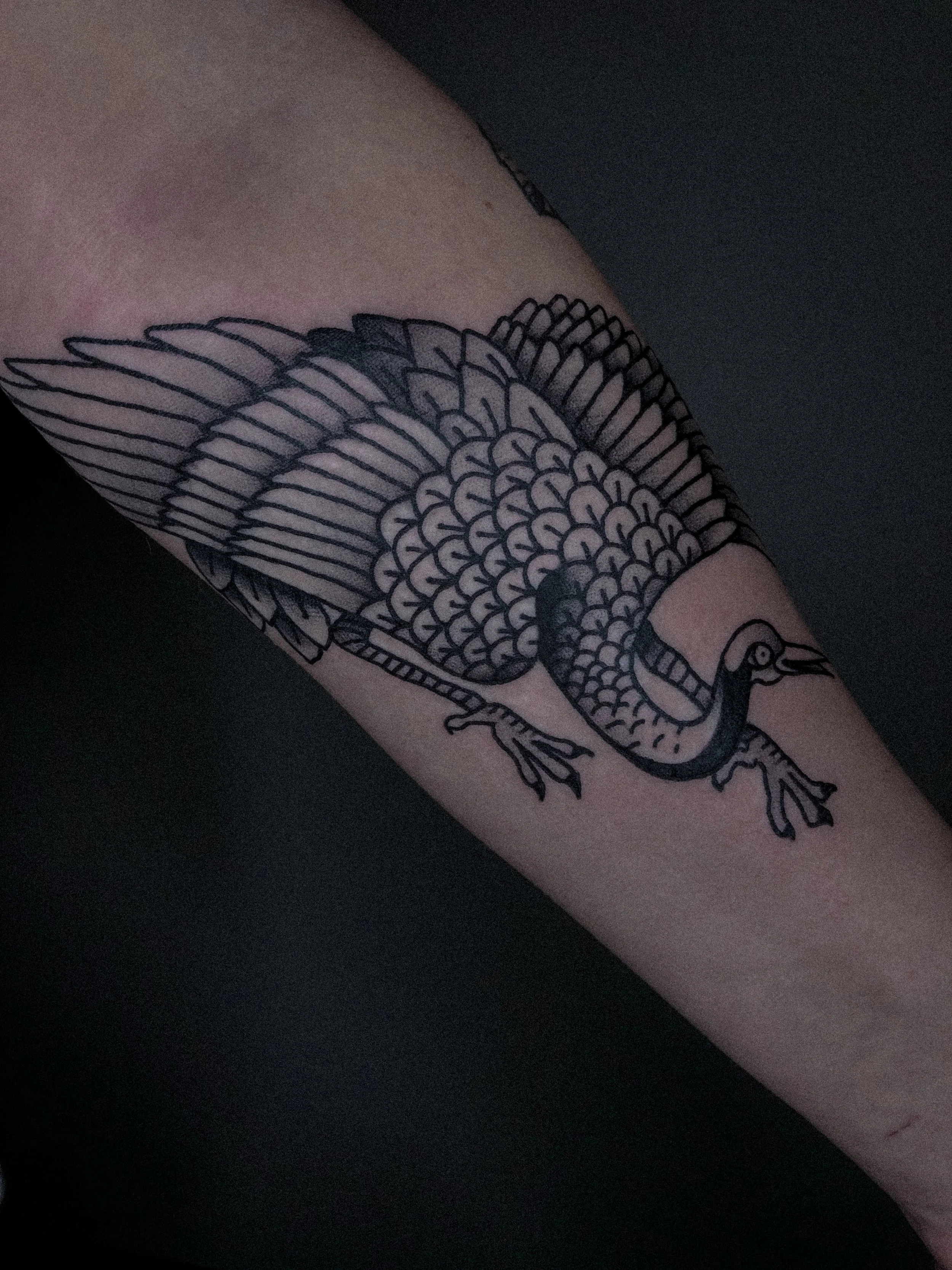 fågel tatuering i traditionell old school stil