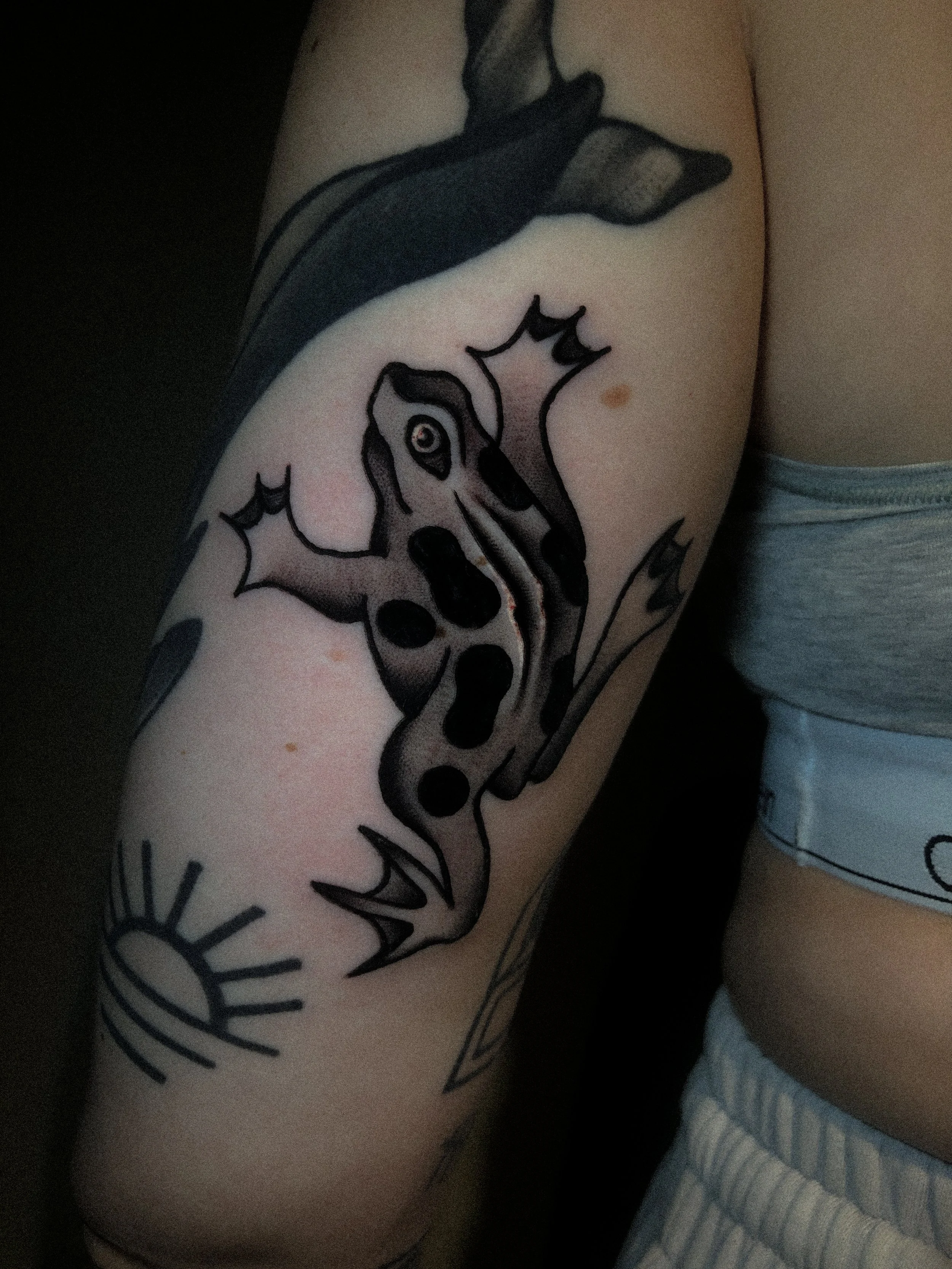 groda tatuering i traditionell old school stil