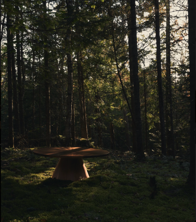 Blaise Éminilie - Maison Toki -00002.png