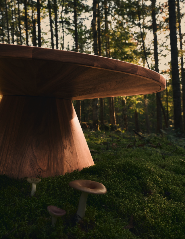 Blaise Éminilie - Maison Toki -00005.png