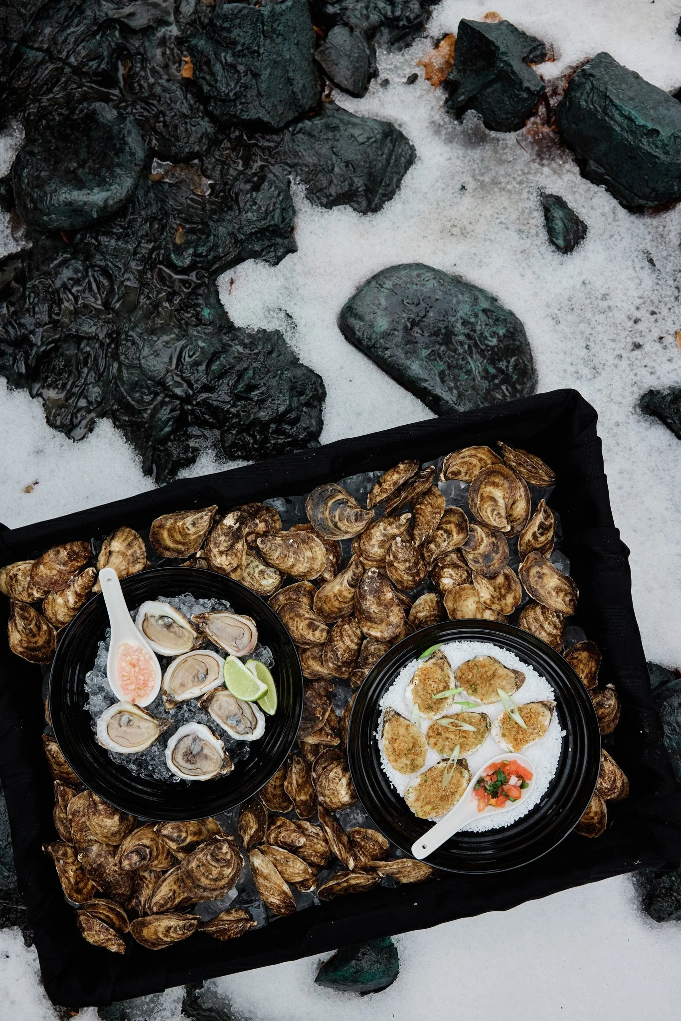 2025_11_21_OYSTER_08A3087.jpg
