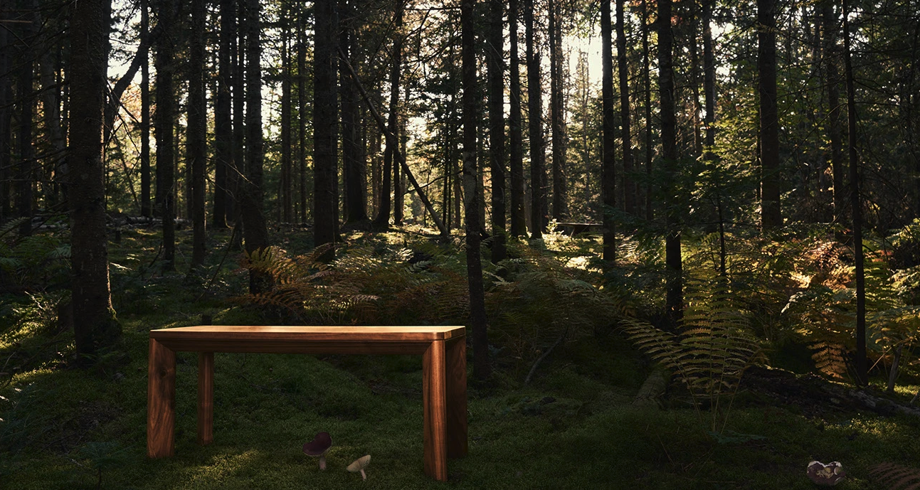 Blaise Éminilie - Maison Toki -00006.png