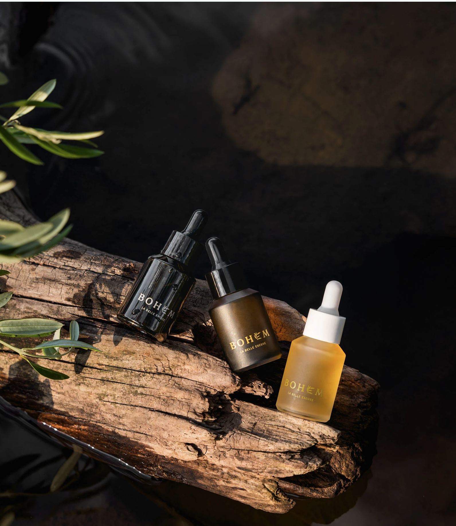 Screenshot 2026-02-16 202605.png