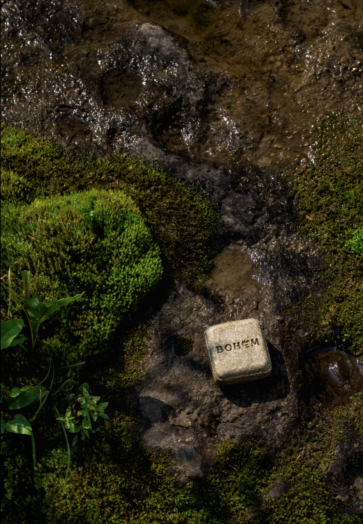 Screenshot 2026-02-16 202516.png