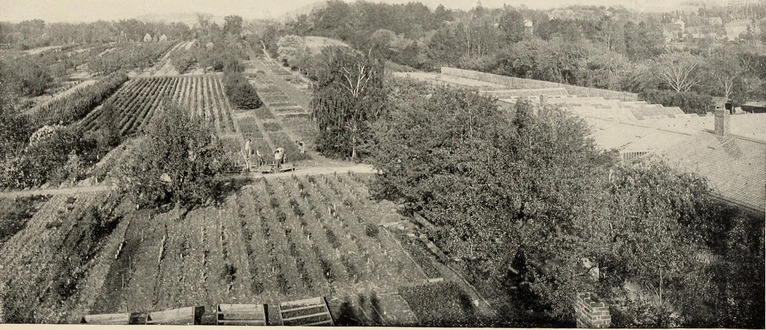 From Nursery to Neighborhood: Cultivating Community at Highland Park