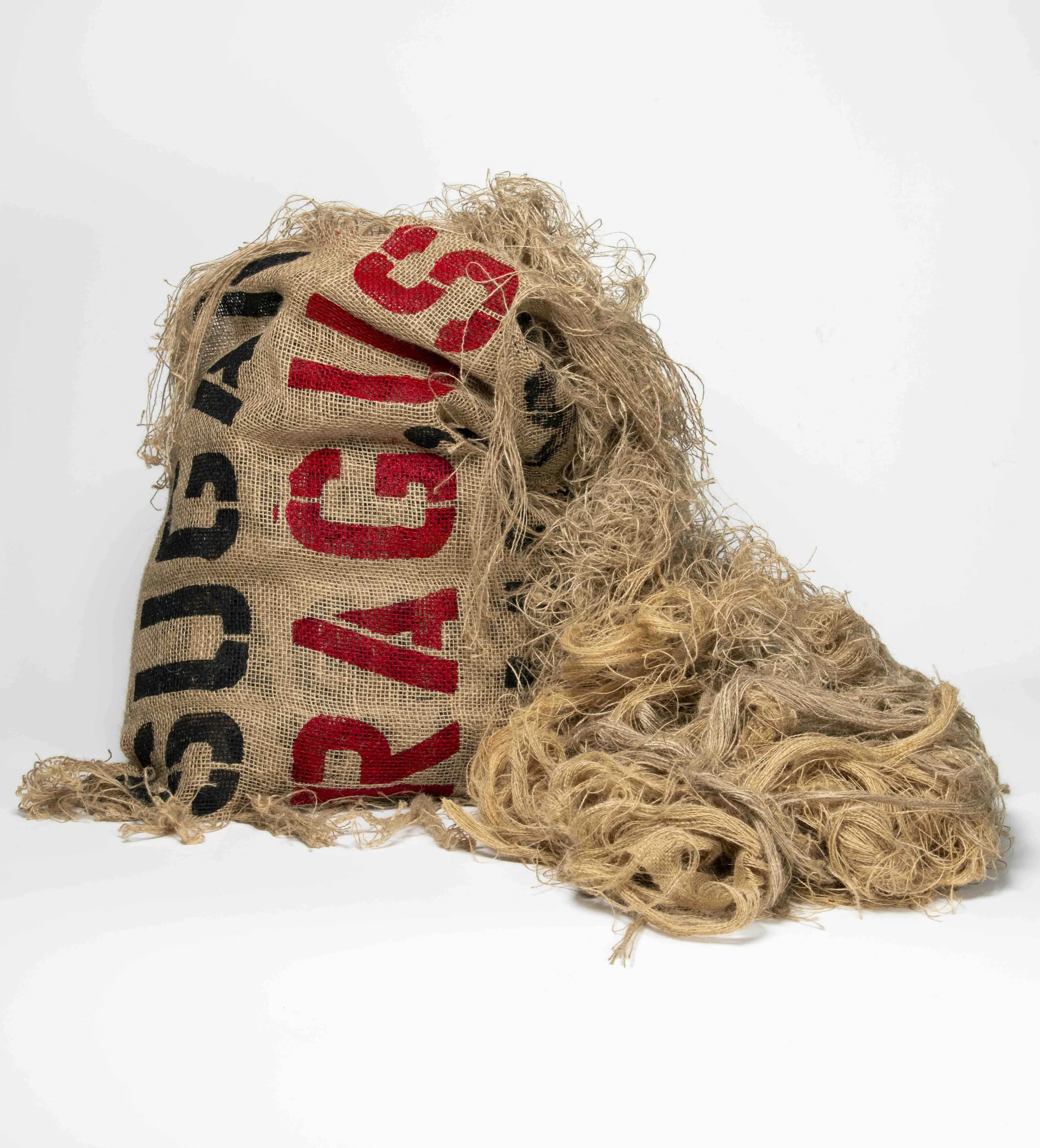 Tyshan Wright, RAG,US, 2024; Acrylic on crocus; 21 x 24 x 20 inches; Photo: Steve Farmer.